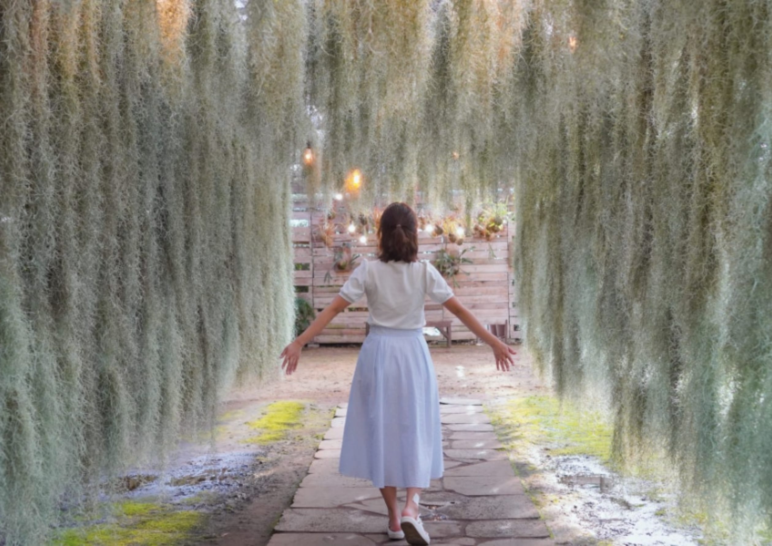 Boromwat：四大季節花卉（夏季）