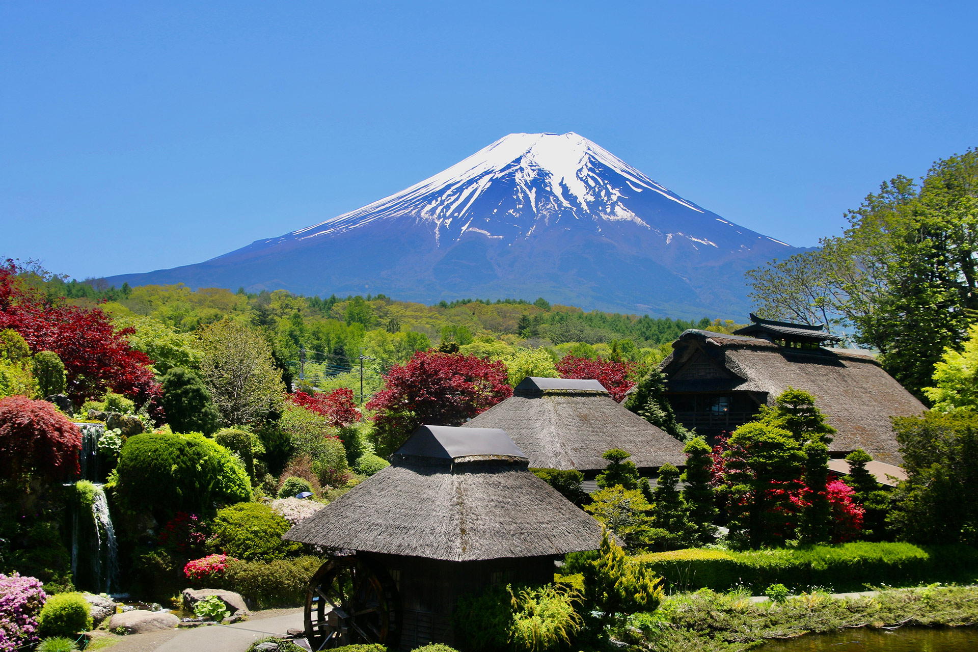 登上忍野八海展望臺，欣賞富士山美景~