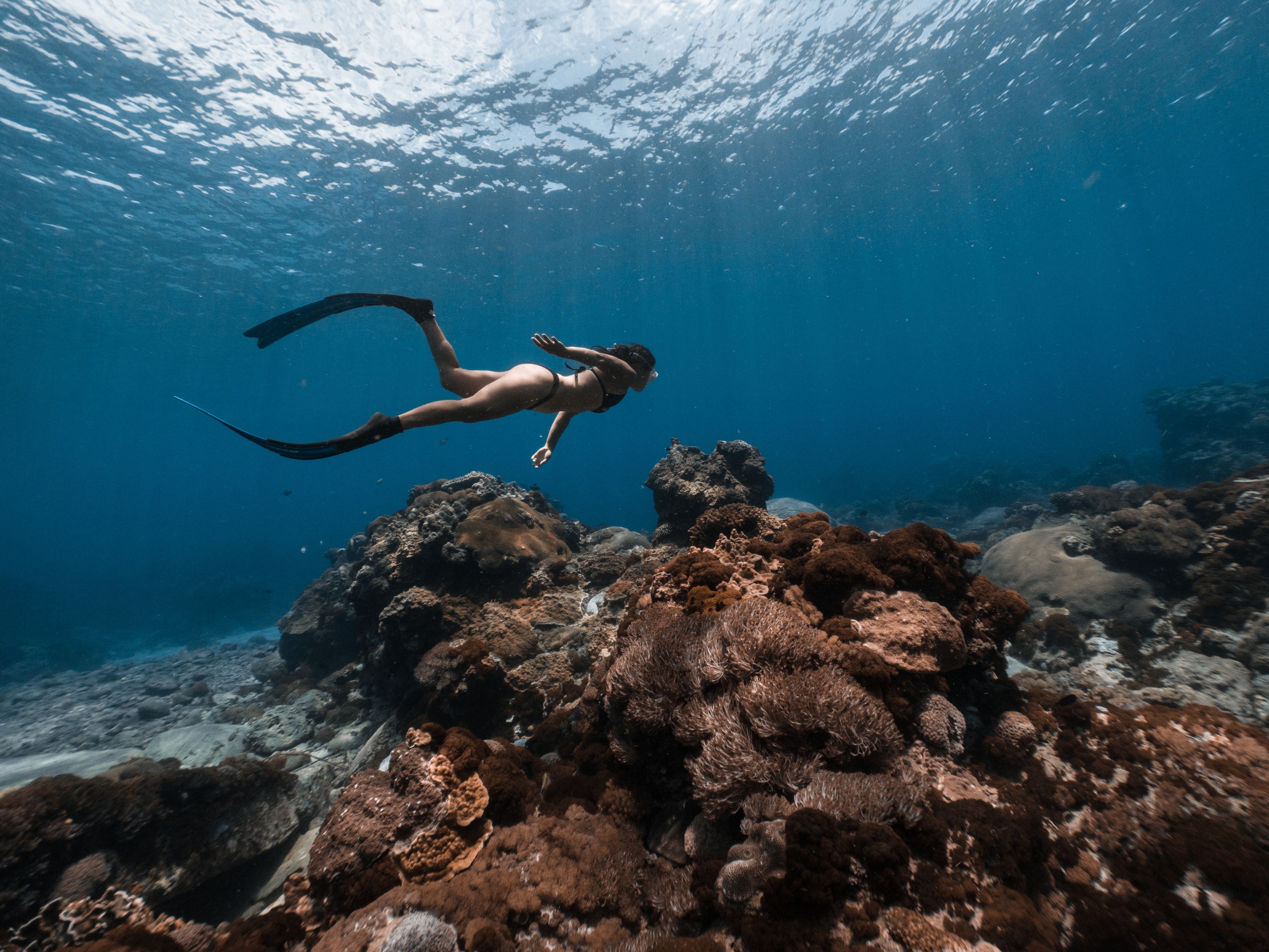 Green Island Free Diving Experience in Taitung