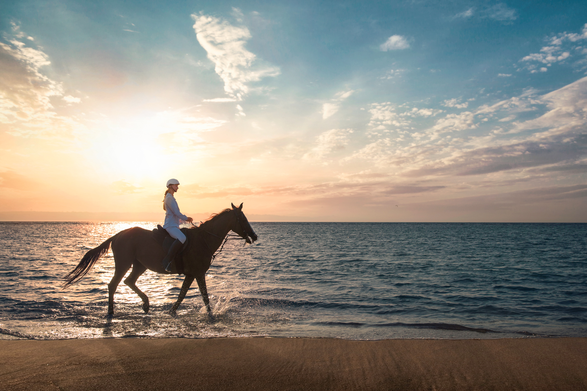 Beach horse riding experience in Jeddah 