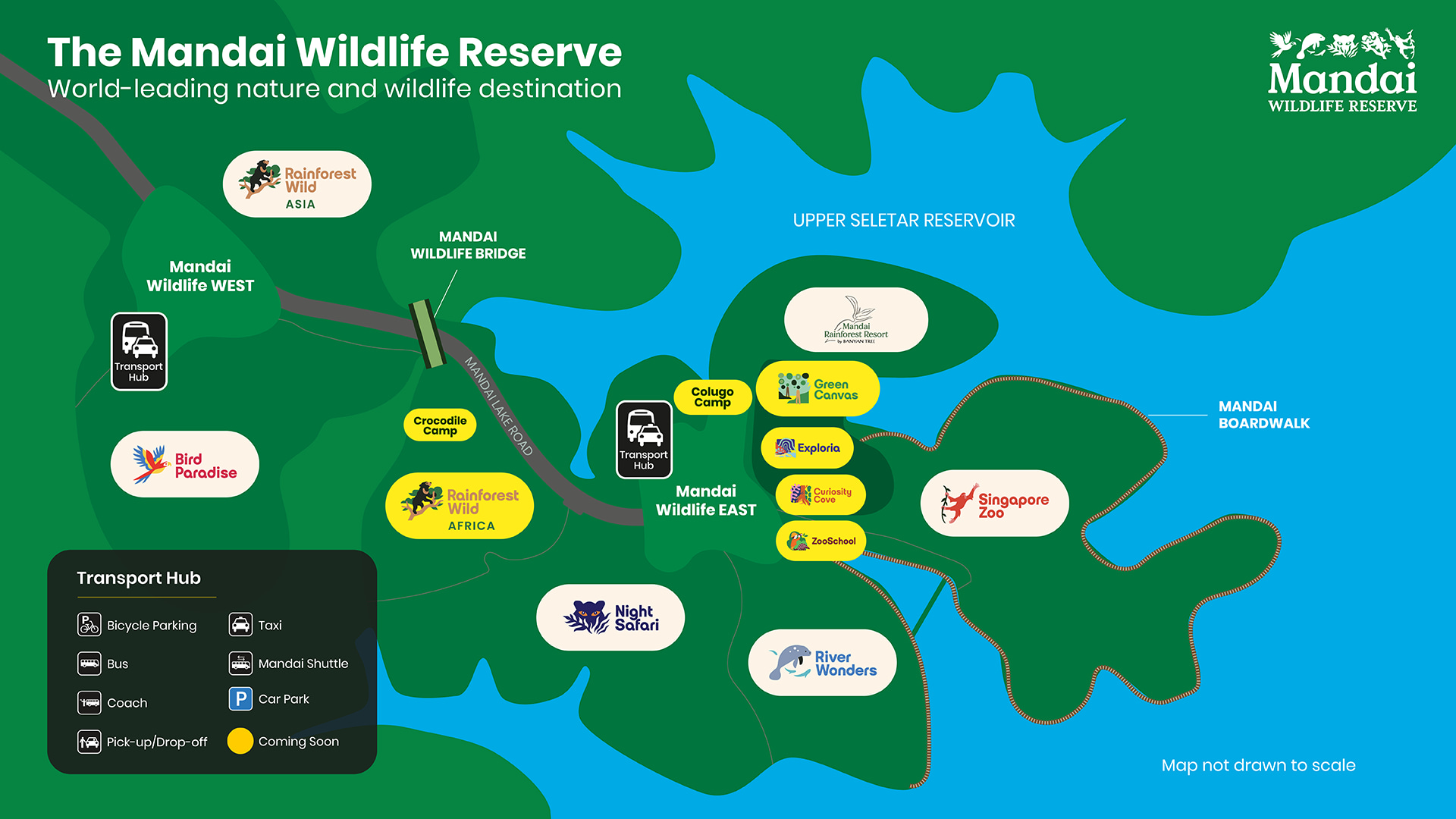 mandai singapore zoo bird paradise river wonders bird park night safari