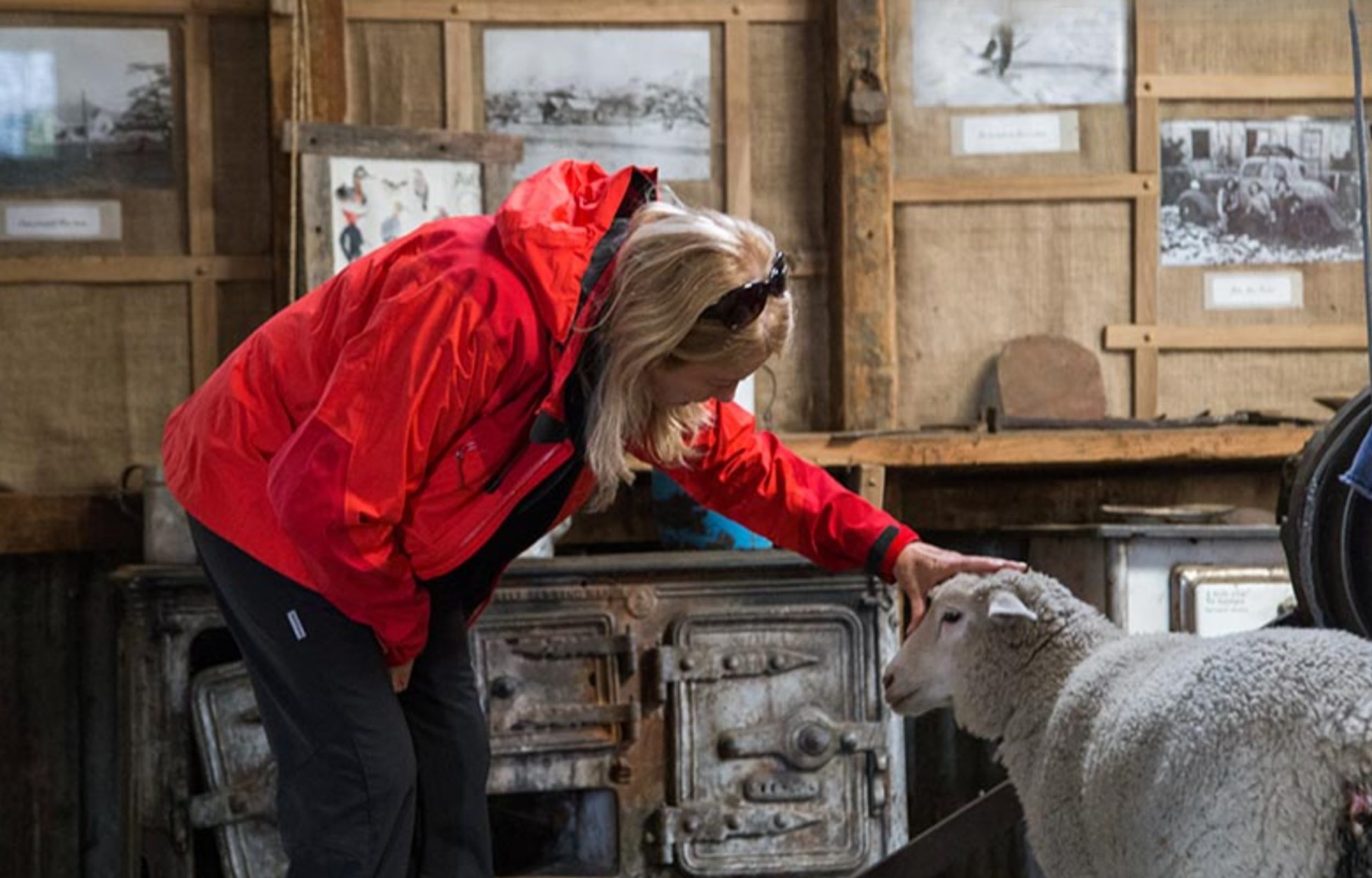 Glaciar Sur Pioneros Excursion from El Calafate