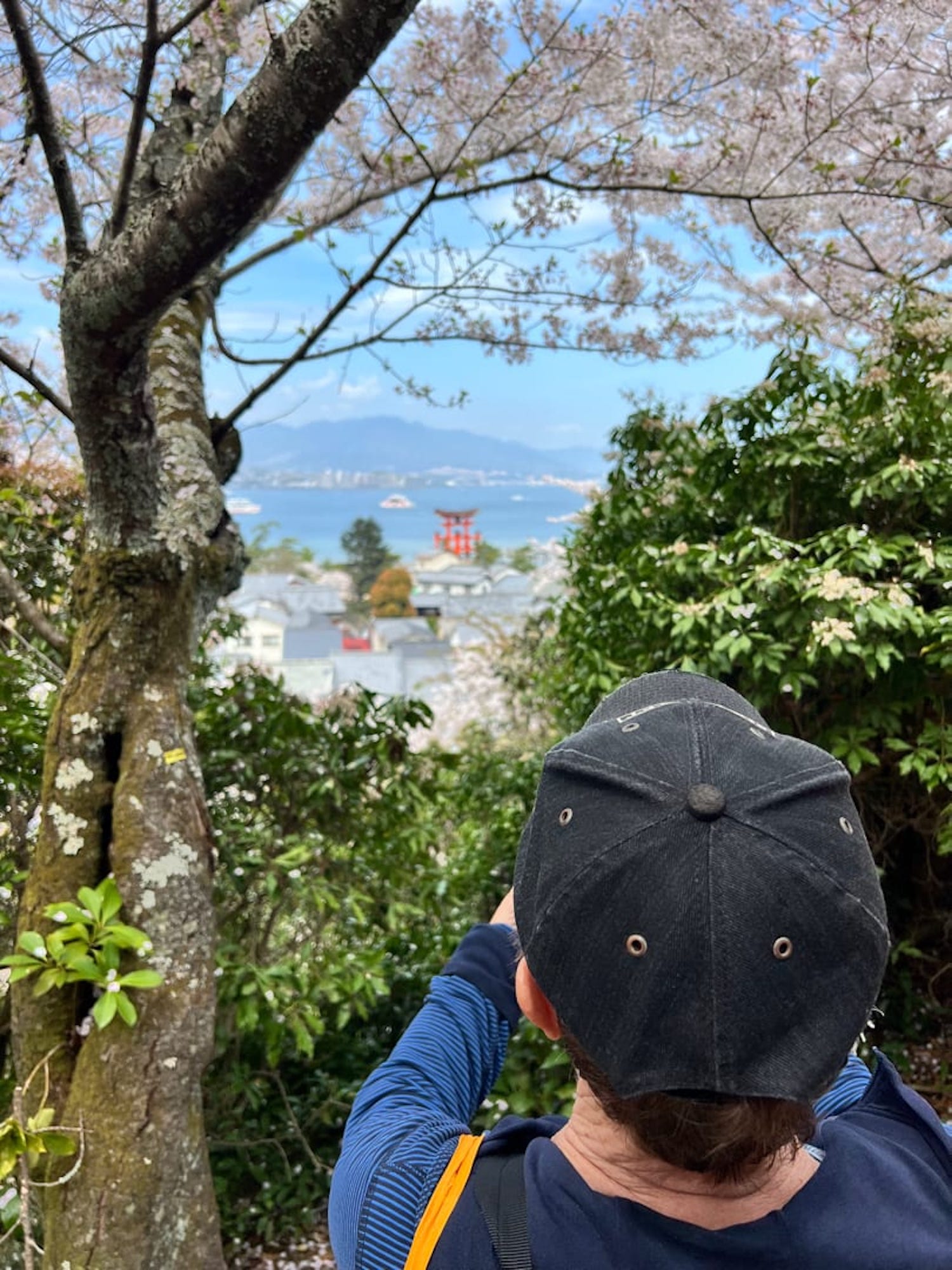 宮島半日曆史徒步之旅