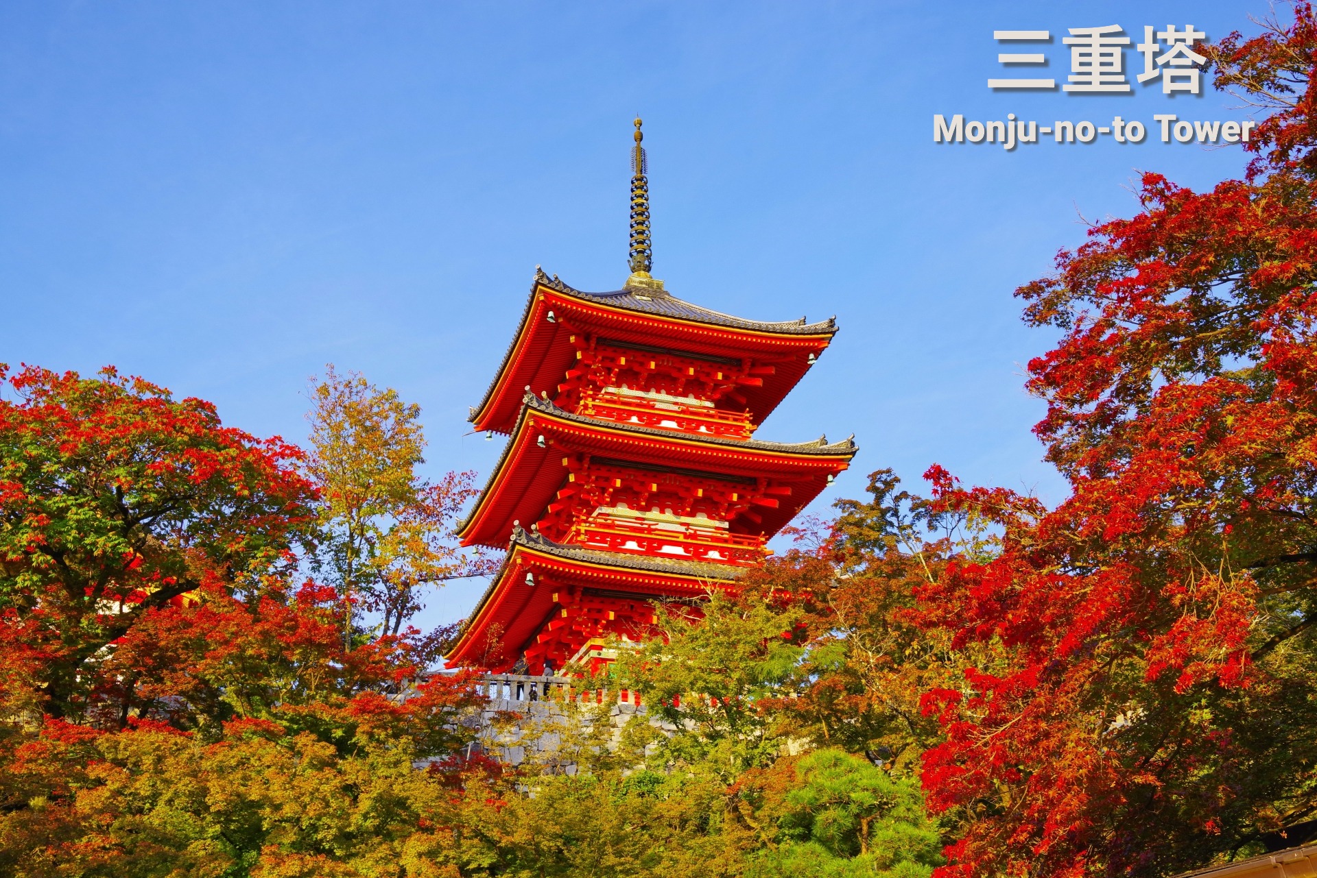清水寺的三重塔高約30公尺，為日本最大規模。其宏偉身影自古以來便是清水寺的象徵，與櫻花相映是遊客的必打卡點。