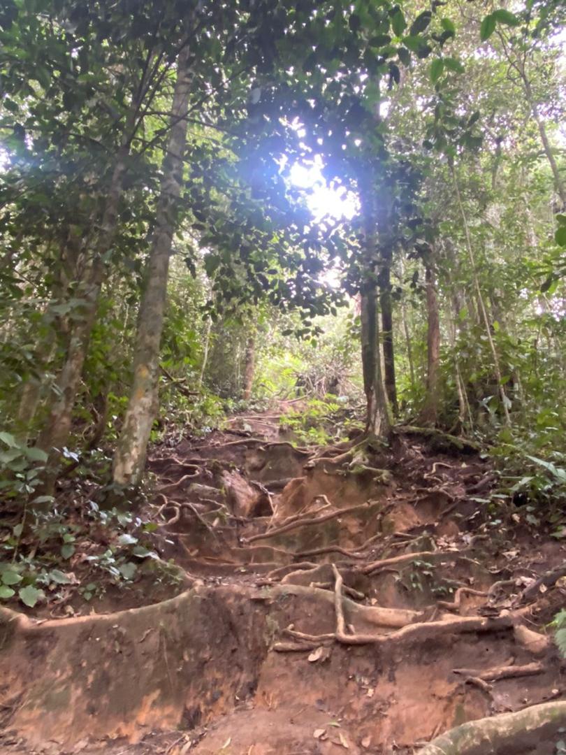 金馬倫高原 - Hit The Trail 全日遊