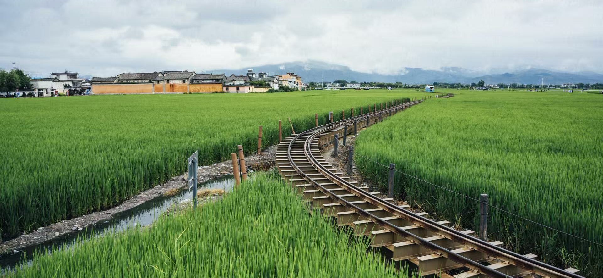 綠油油稻田間，鐵軌蜿蜒伸向遠方，是喜洲網紅小火車線路。白族民居靜立田畔，遠山藏在薄雲之下，水渠伴軌道並行，清新田園畫卷徐徐展開
