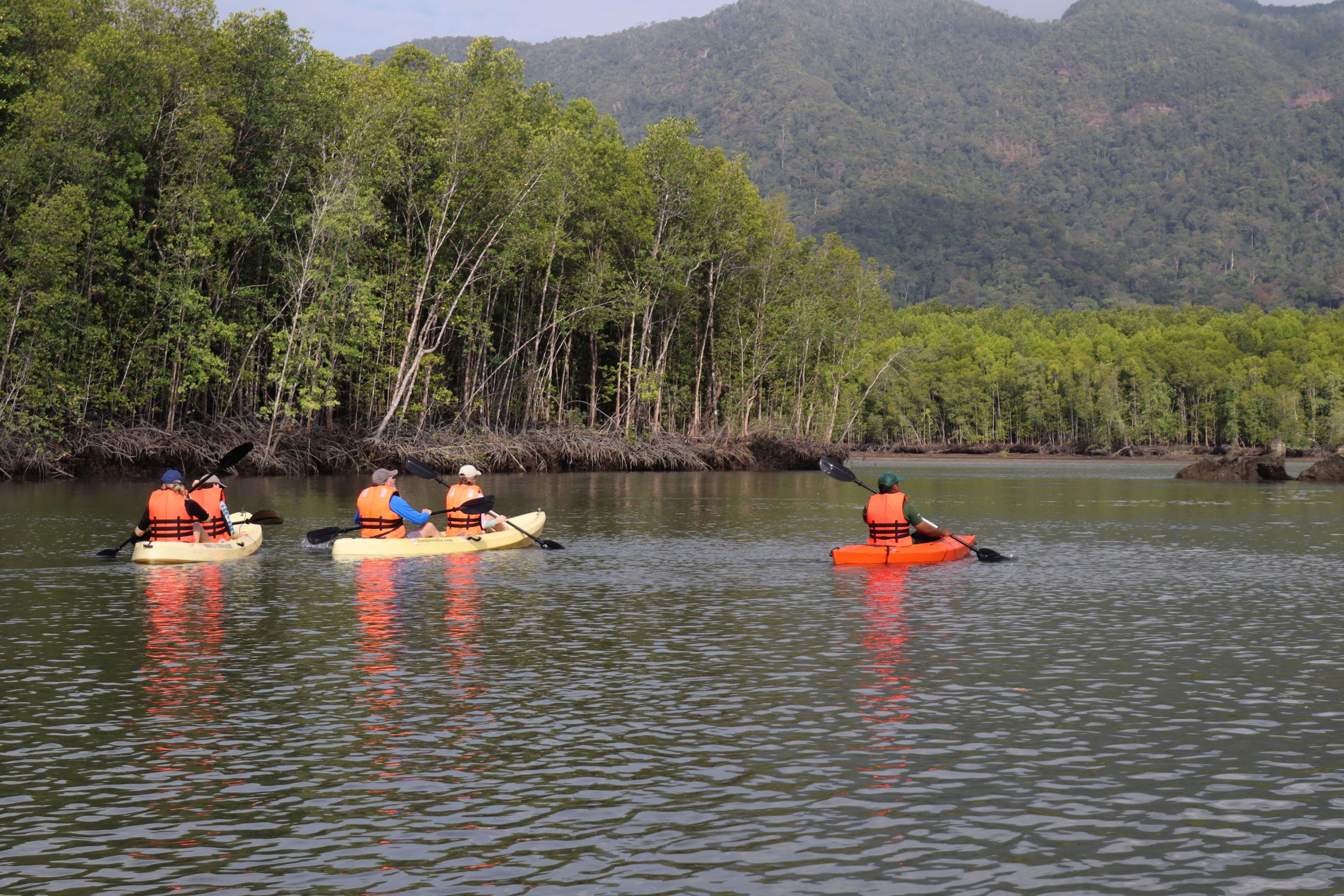 划槳行經沿岸河流,欣賞珍奇動植物 划槳行經沿岸河流,欣賞珍奇動植物