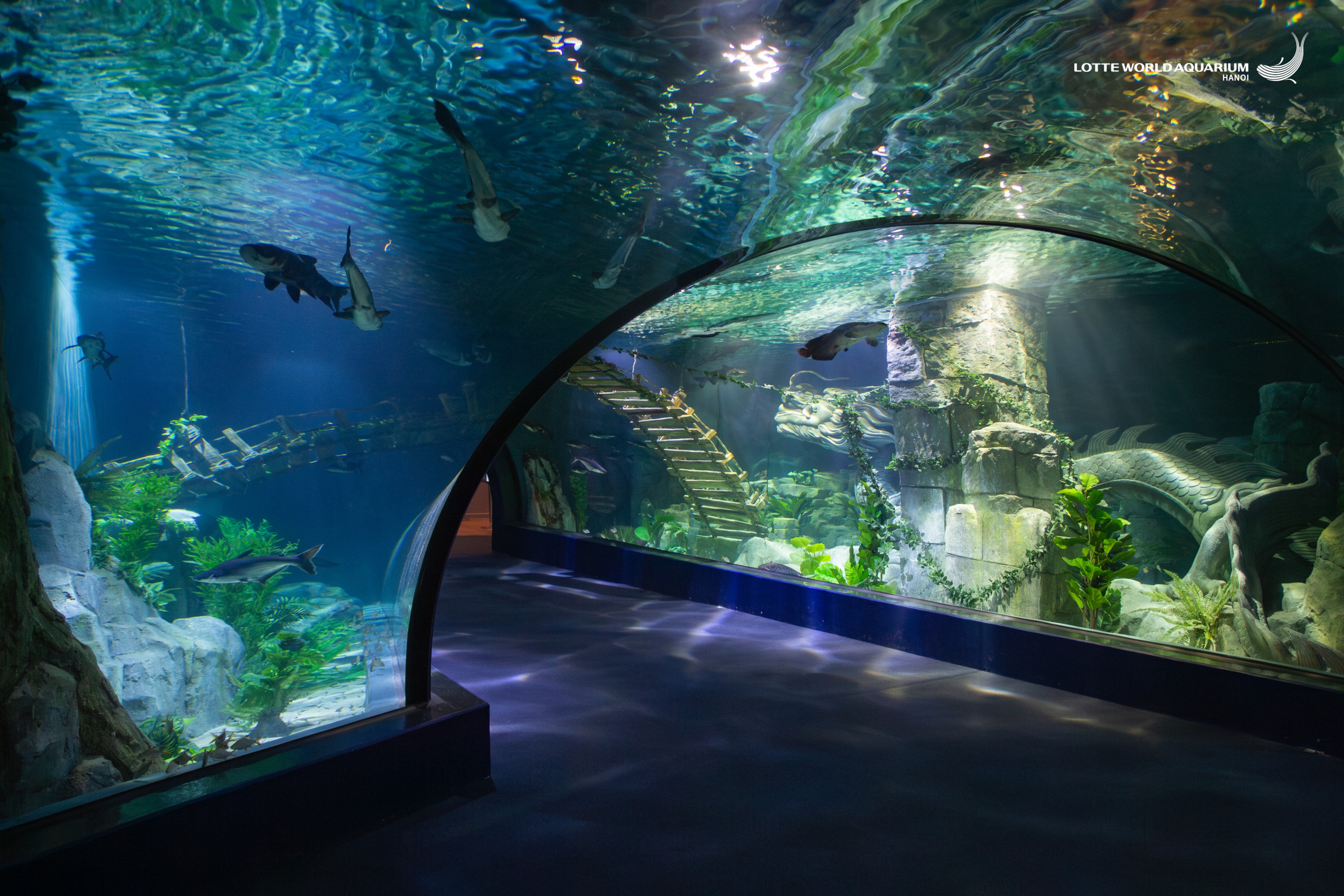 河內樂天世界水族館門票