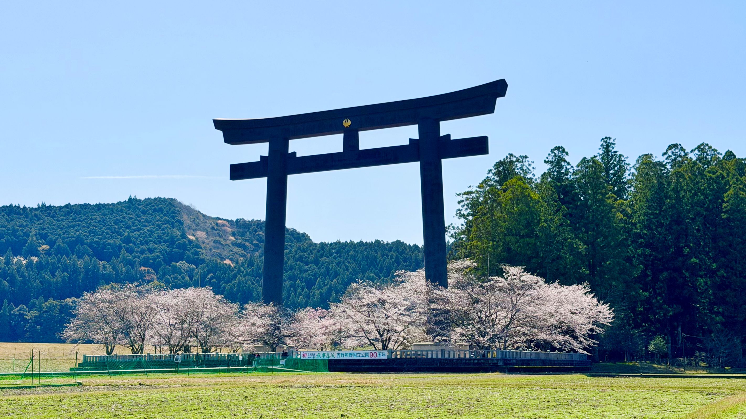 本宮大社是世界上最大的鳥居。3月櫻花初綻，一場春日朝聖悄然啟程。