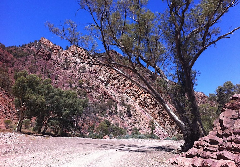 Wallabies, Rocks and Copper Guided 4WD Tour in Rawnsley Park