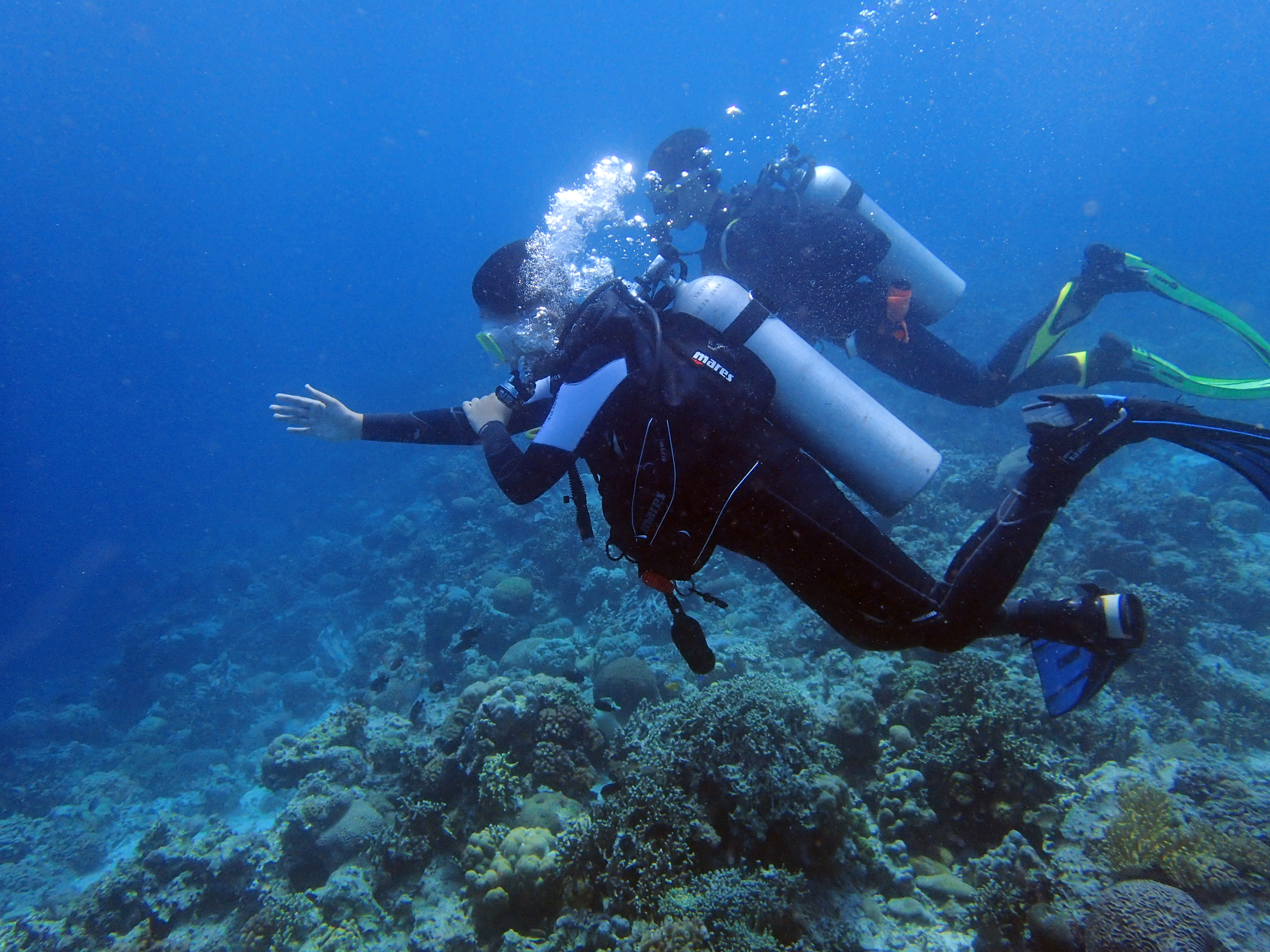 モアルボアル PADIアドバンスドオープンウォーターダイバーコース（セブ島 / PADI 5スターCDC）