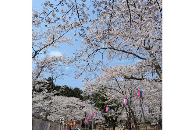 偕樂園門票（茨城）