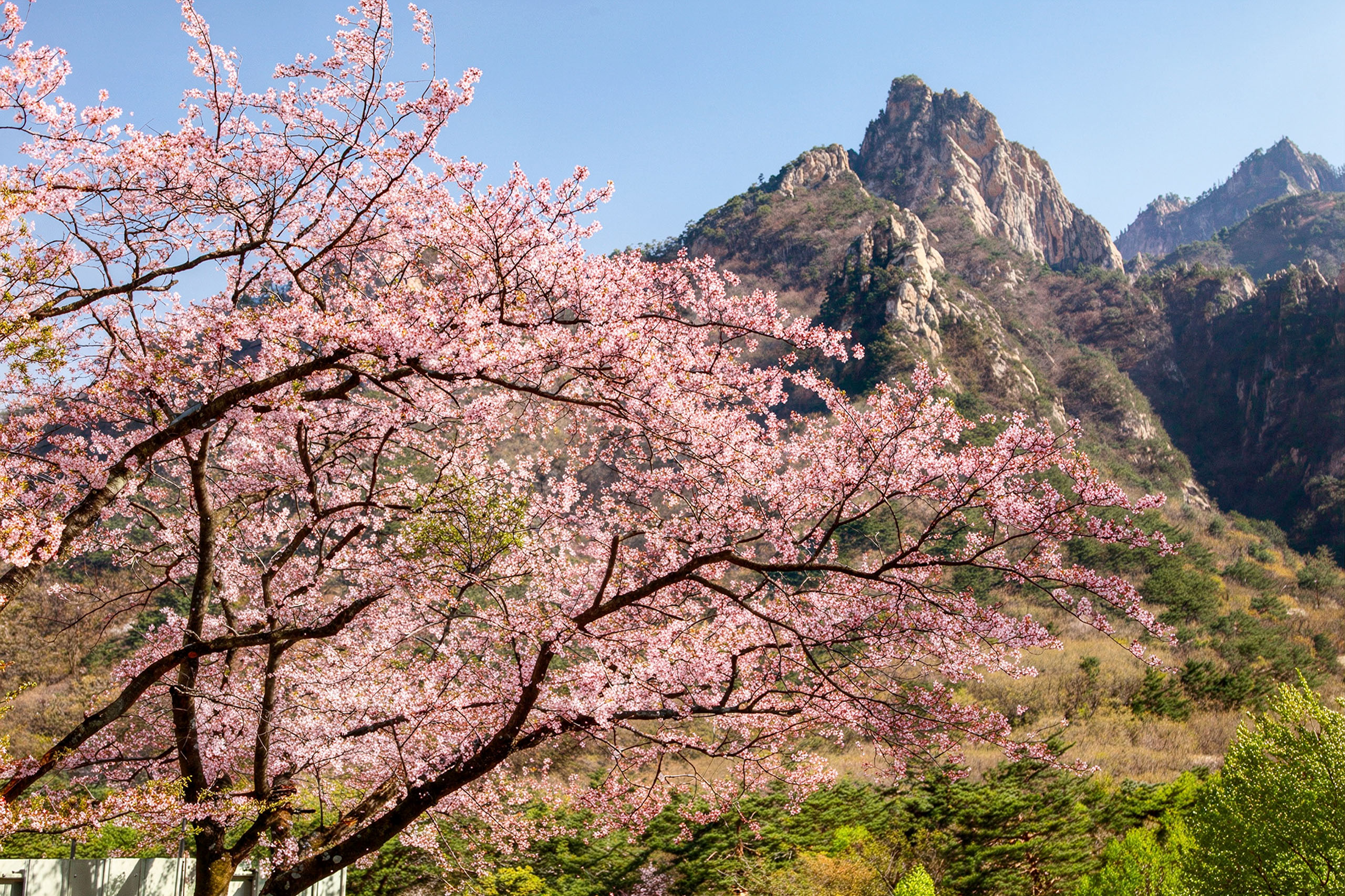 呼吸雪嶽山壯麗山峰的清新空氣，充滿活力的森林和寧靜的小徑正等著您來探索。