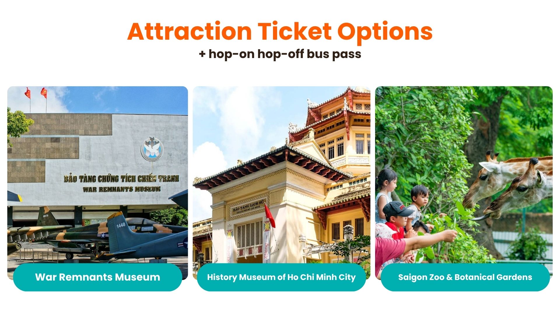 Attraction Ticket Option