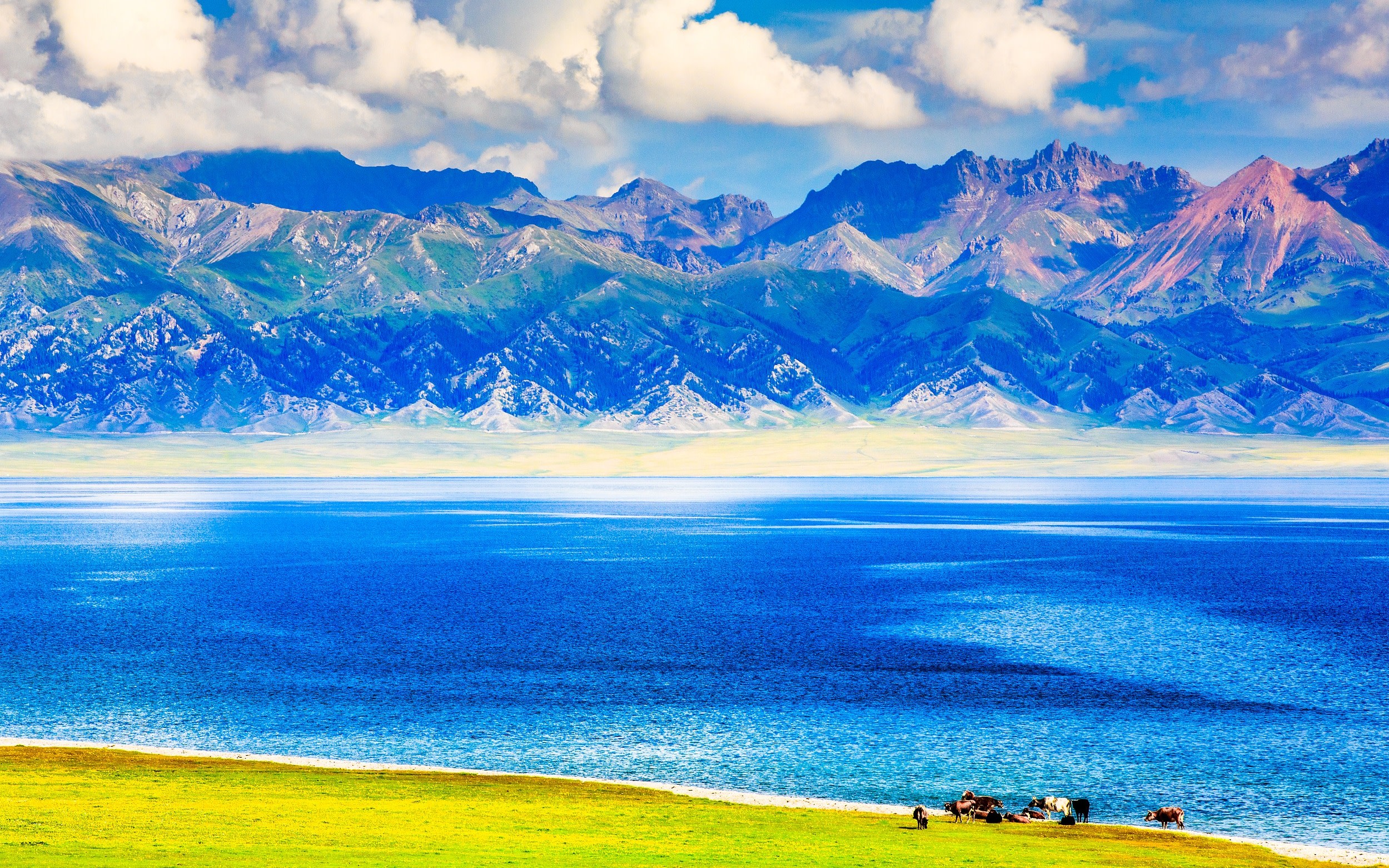 Spring Flower Charm | 8-Day Tour of Xinjiang Sayram Lake + Naratty + Tianshan Tianchi + Kumtag Desert | 1+1 First Class Cabin