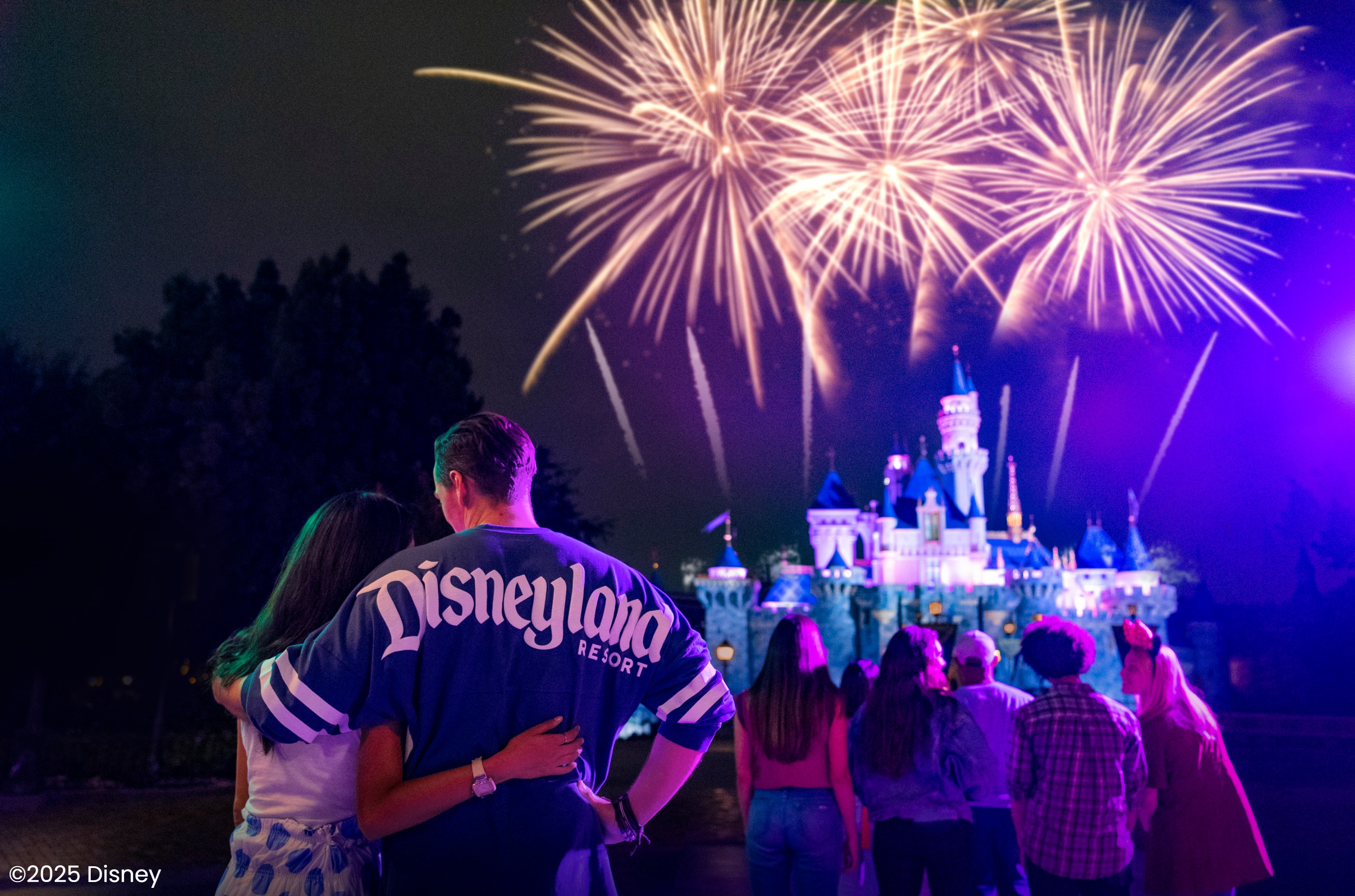 Fireworks in Disneyland Park!