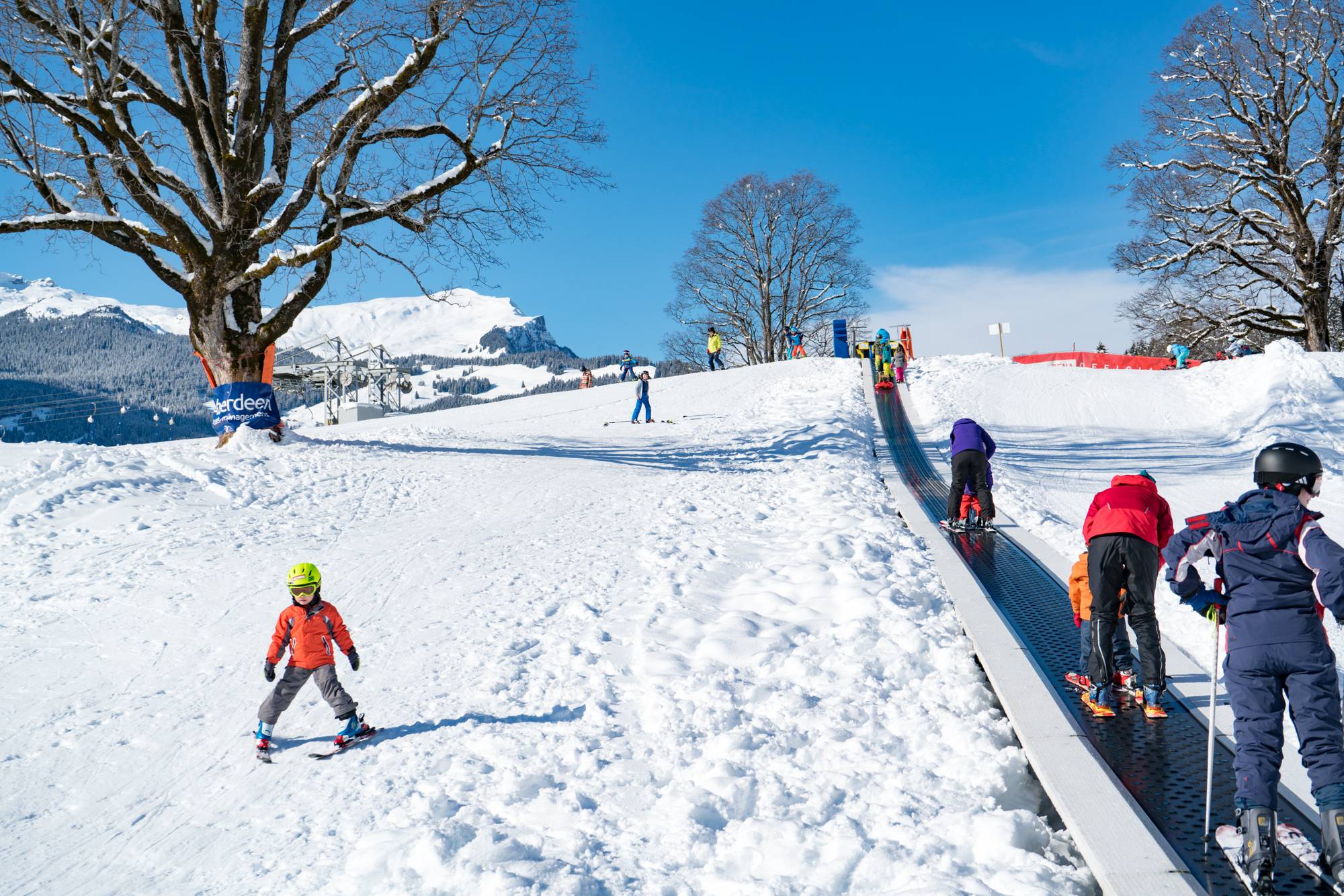 Grindelwald Bodmi Arena Sledding and Tubing