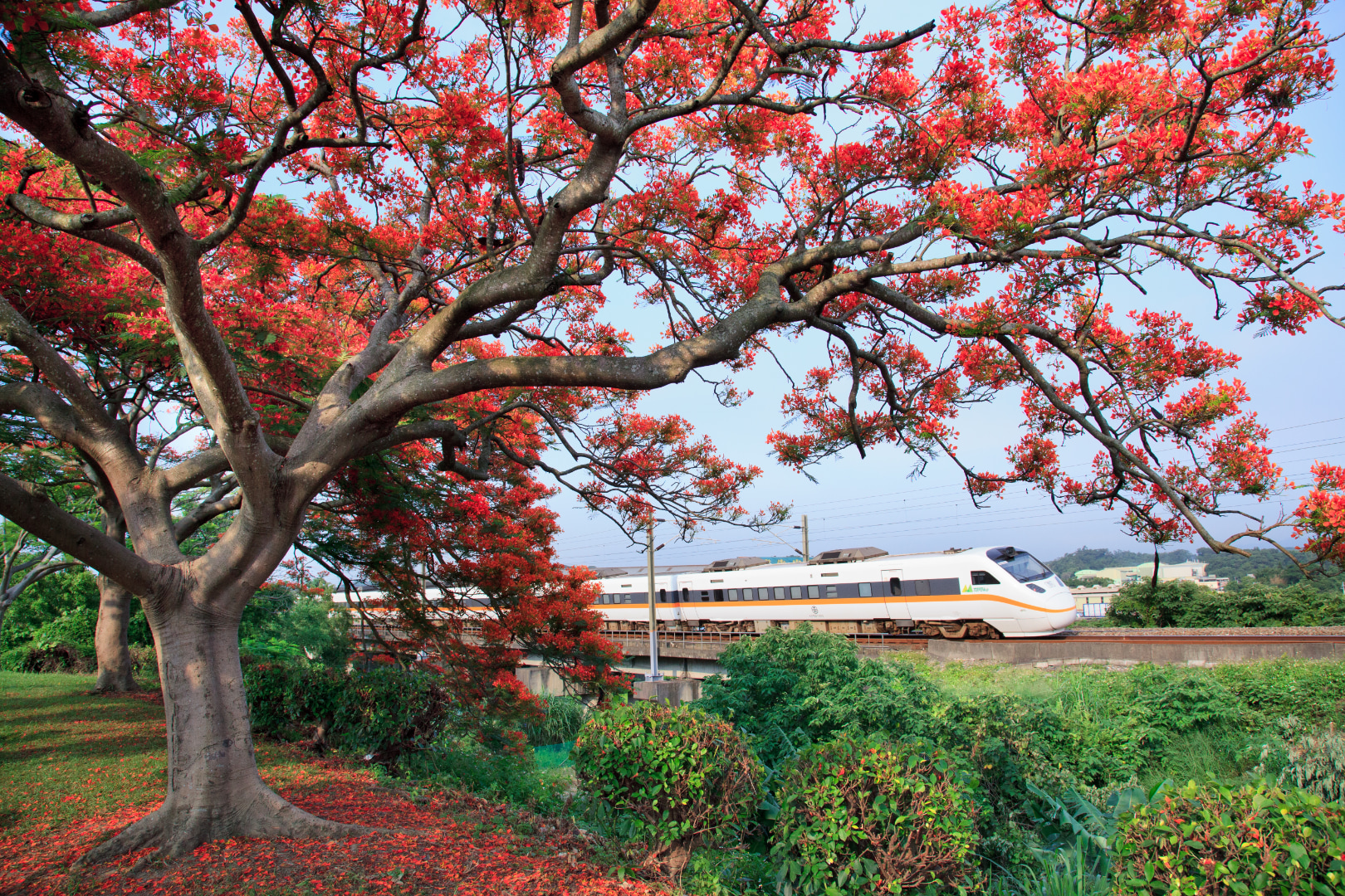 Classic Charter Day Tour in Miaoli