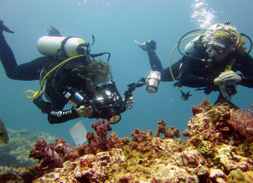 PADI アドバンスドオープンウォーター（ランタ島 / PADI 5 Star Dive Center提供）