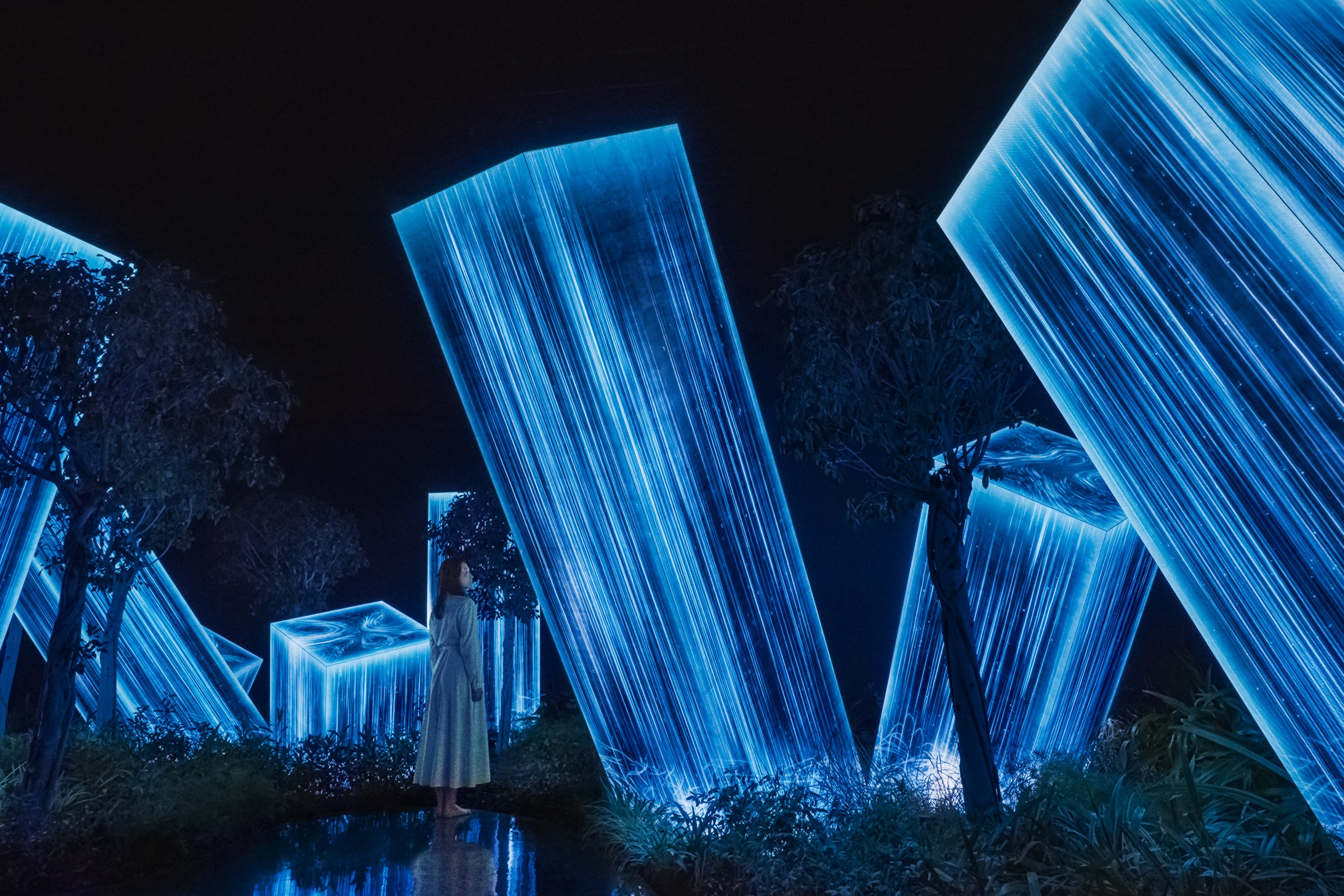 teamLab Phenomena 阿布達比門票