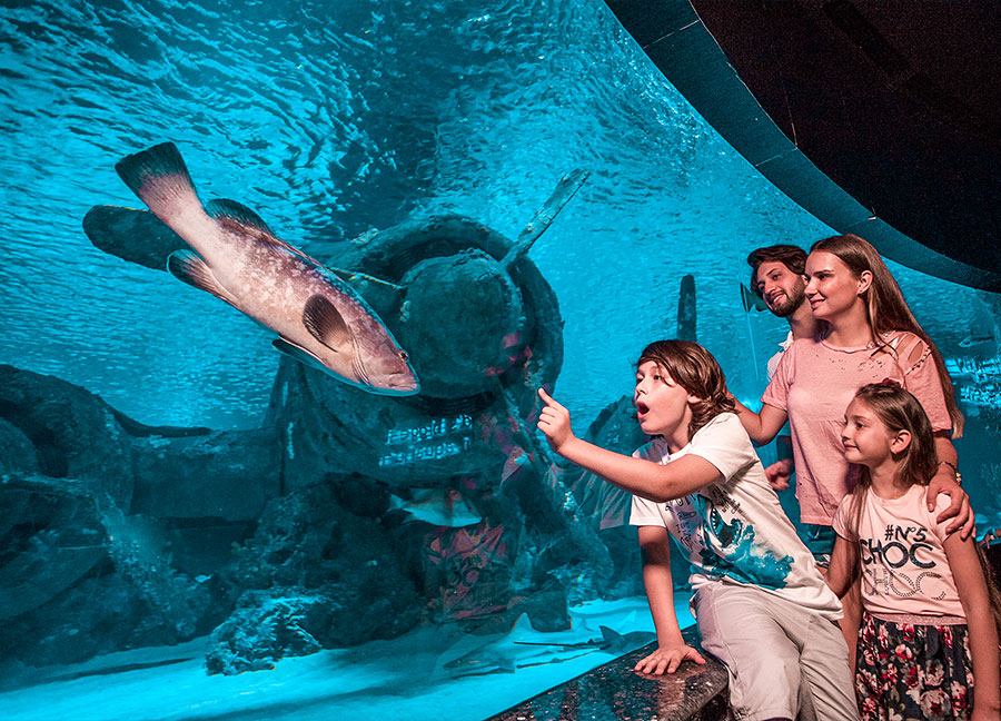 安塔利亞水族館之旅（含門票＆接送）- 阿拉尼亞出發