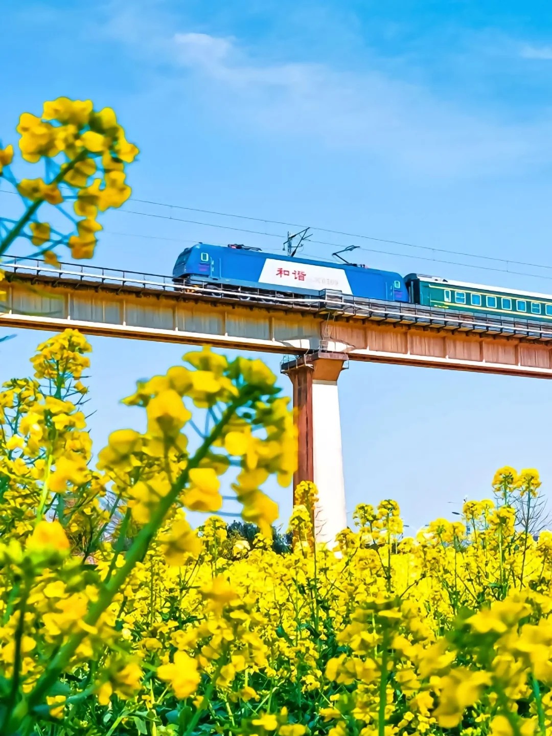 這裡是春天寫給大地的情書，是吉尼斯紀錄冊中“世界最大的自然天成花園”。