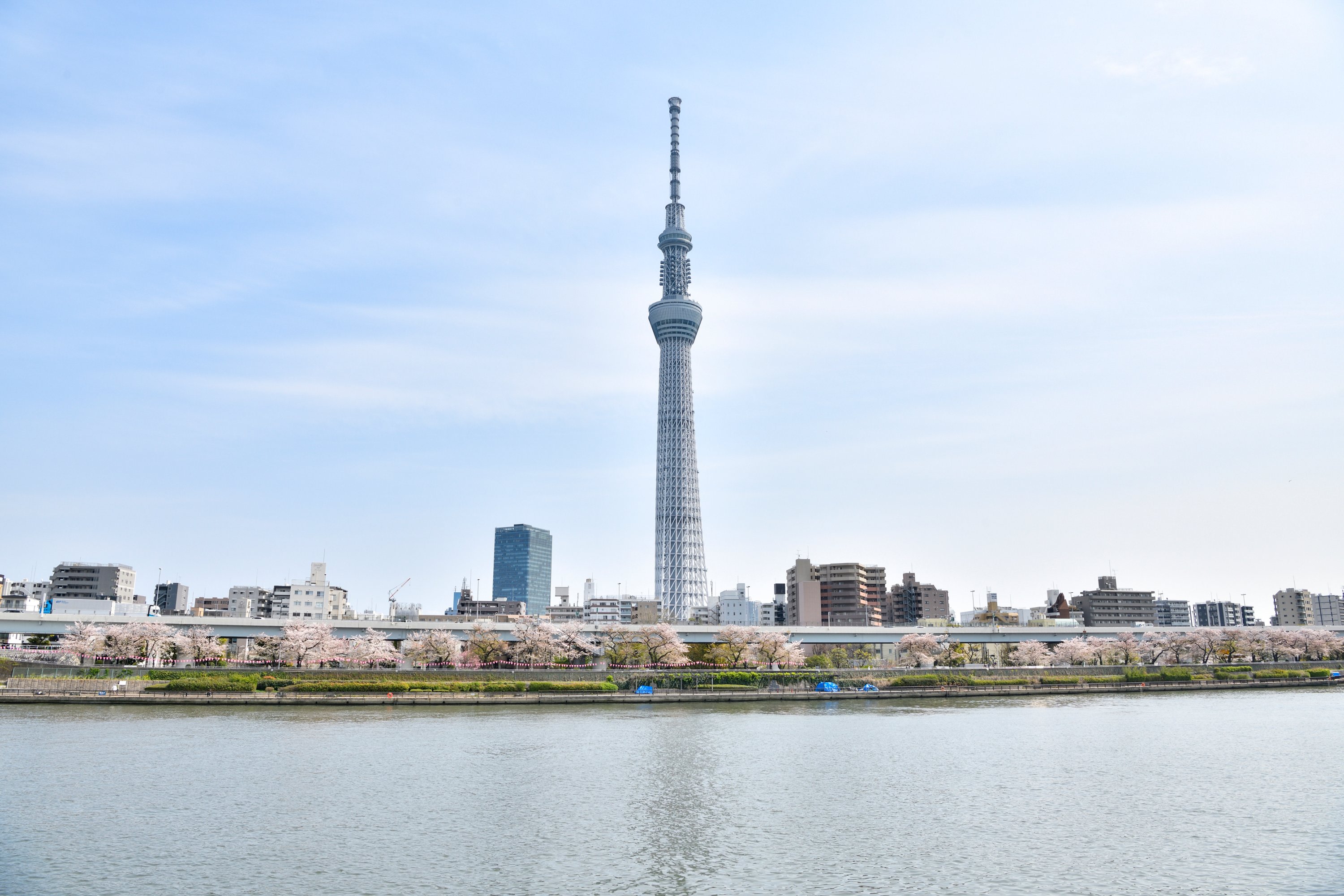 白天參觀東京晴空塔®,從天望迴廊瞭望到約75公里遠的地方,甚至能看到雄偉的富士山 白天參觀東京晴空塔®,從天望迴廊瞭望到約75公里遠的地方,甚至能看到雄偉的富士山