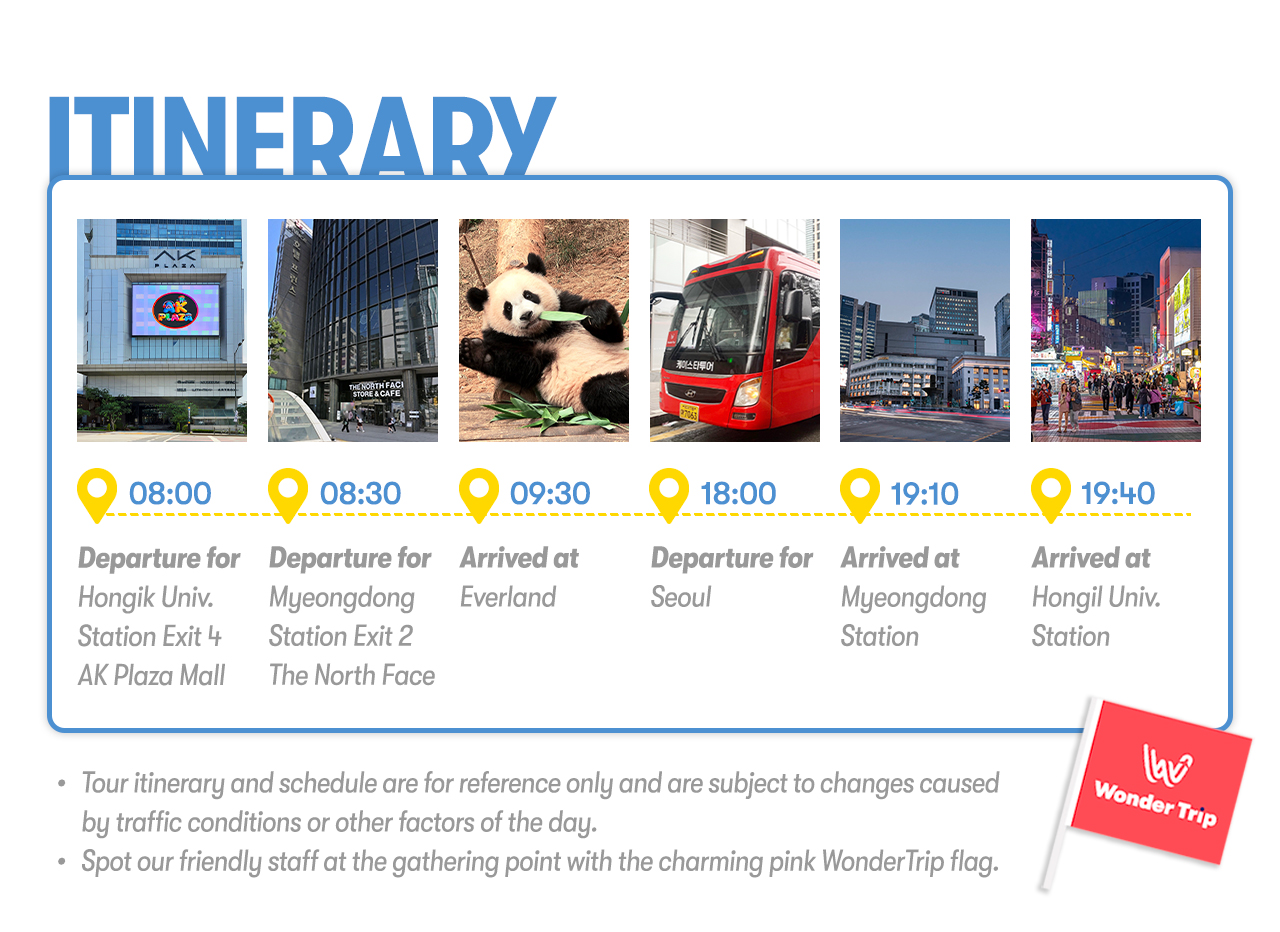 Everland Day Tour: Priority Entry (Till 31/5) + Optional Meal Coupon