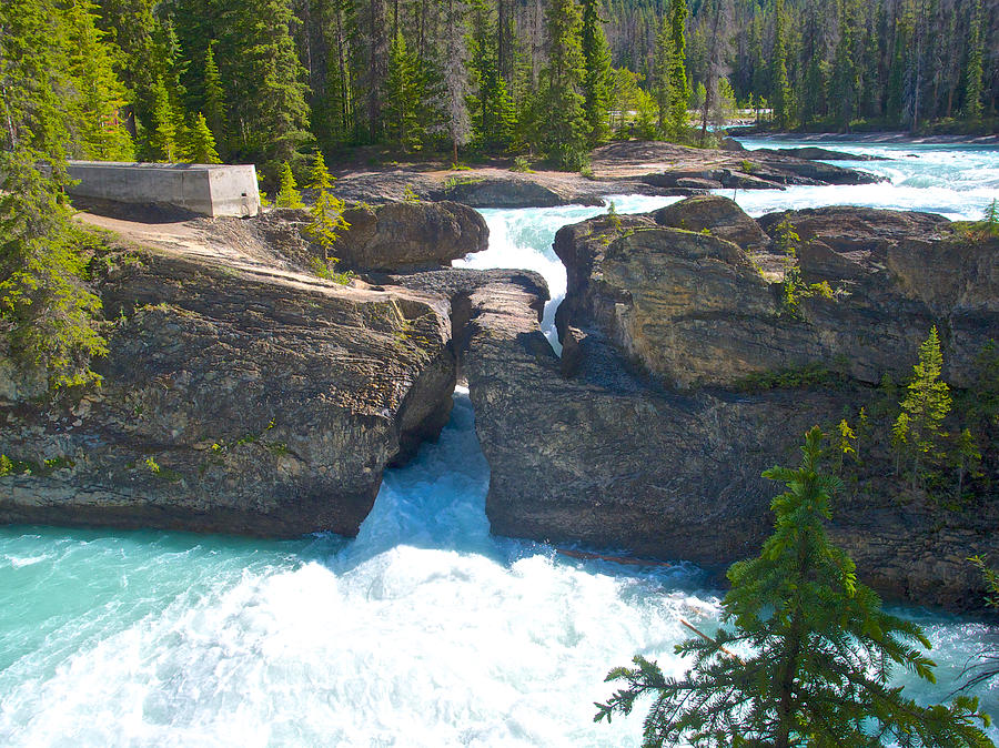 Rocky Mountain Charter Day Tour - Lake Louise Route