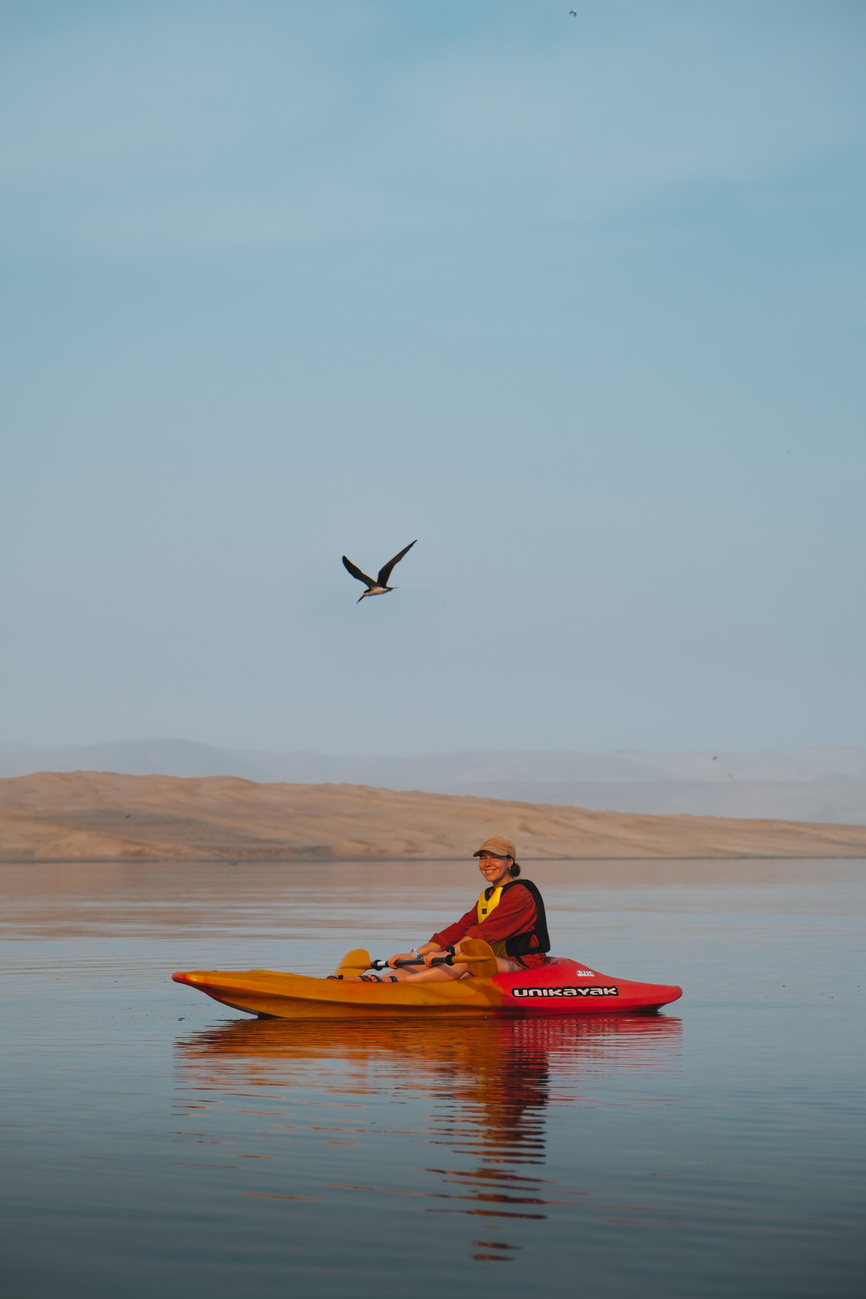 Paracas Bay Sunrise Kayaking Tour in Peru