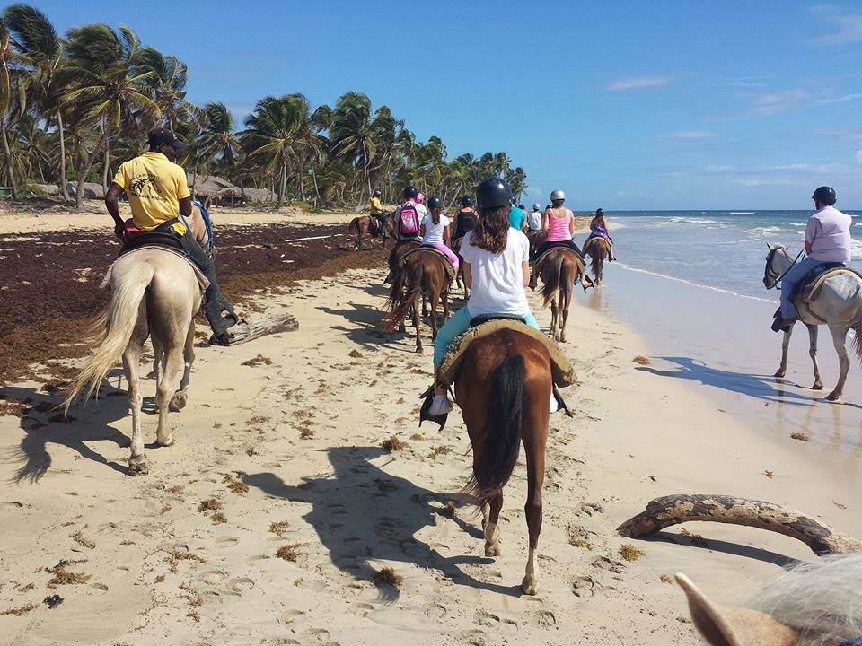 2-Hour Horseback Ride on the Beach