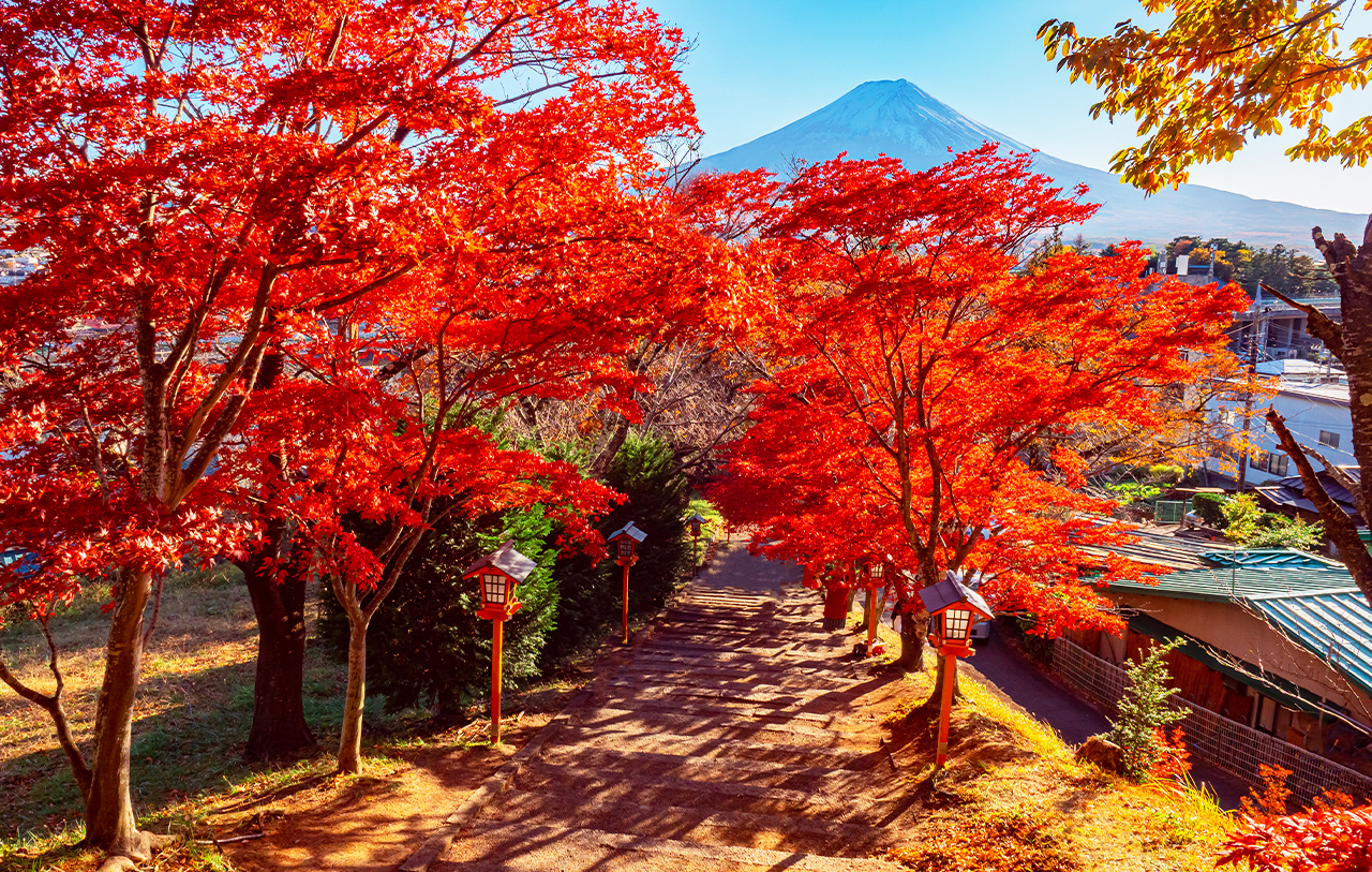 [Four Seasons Only] One-Day Tour of Mt. Fuji and Lake Kawaguchi｜Moss-sakura in Spring, 5th Station in Summer｜Maple Leaf Corridor in Autumn, Snow-capped Peaks in Winter｜Lake Yamanaka Cruise or Hot Springs｜Depart from Tokyo