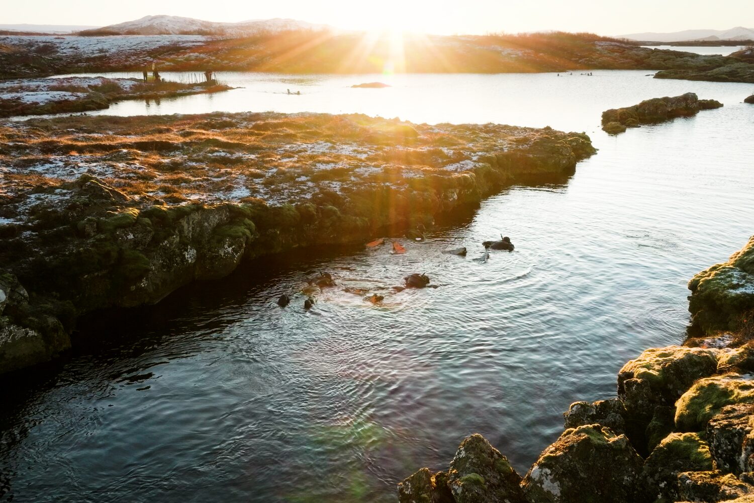 Silfra Fissure Snorkeling Half Day Tour from Reykjavik