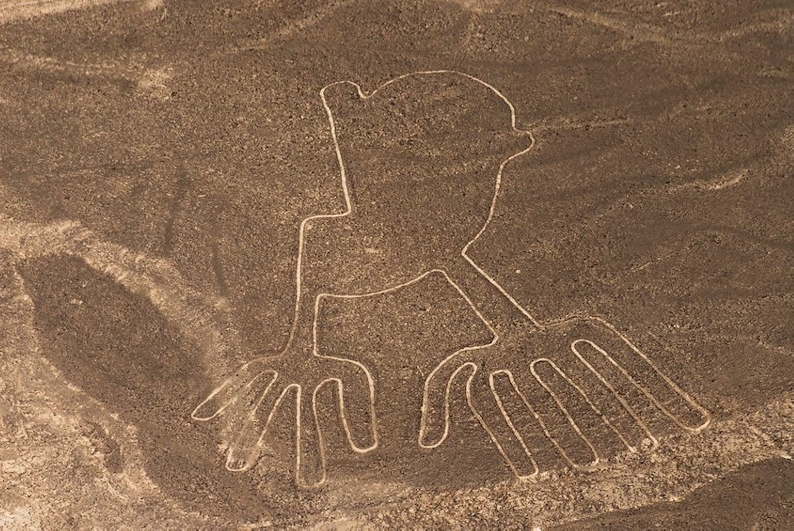 Naz01-Nazca Lines - Mystical Odyssey from the Sky