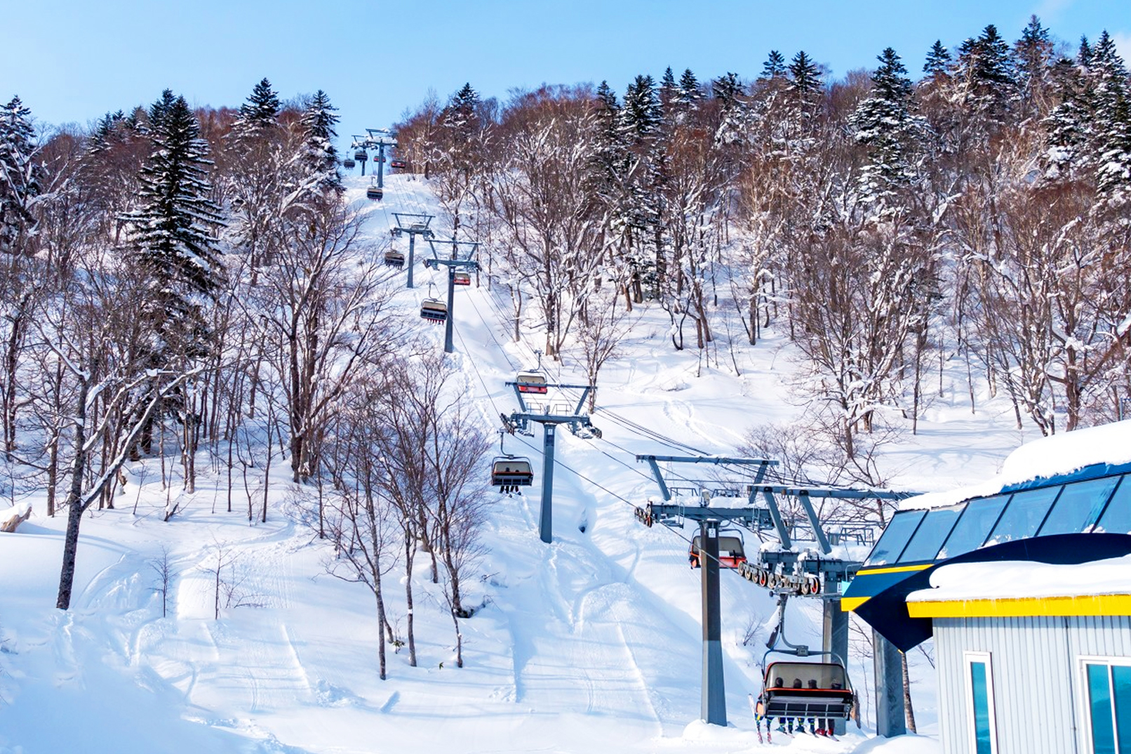 札幌出發的北海道國際滑雪場一日遊