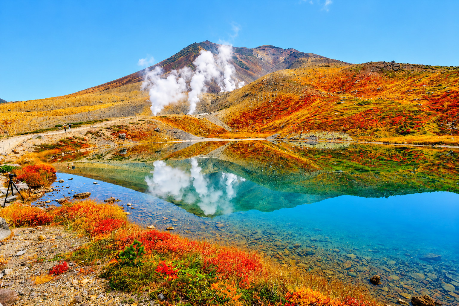 Hokkaido Four Seasons One-Day Tour: Summer Hokuryu-cho Sunflowers, Autumn Asahidake Autumn Leaves, Winter Biei Furano Illumination