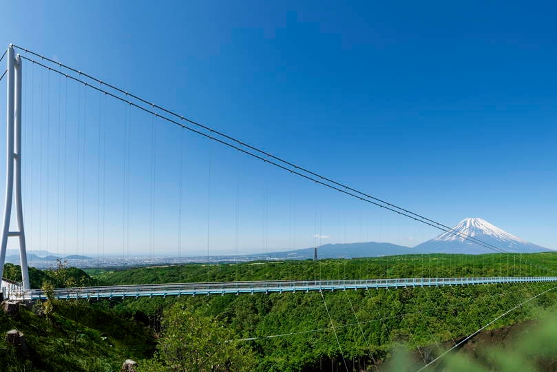 Mishima Skywalk, Shuzenji, & Atami Plum Garden Day Tour from Tokyo