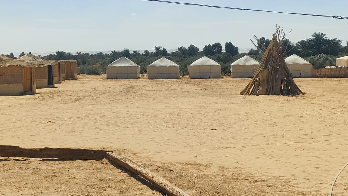 法尤姆 Wadi El-Hitan 瀑布 & 沙漠露營過夜體驗