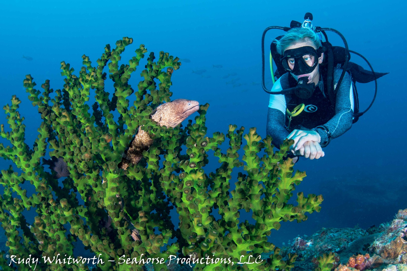 3D2N PADI Advanced & Nitrox Diver Courses (For Licensed Divers Only)