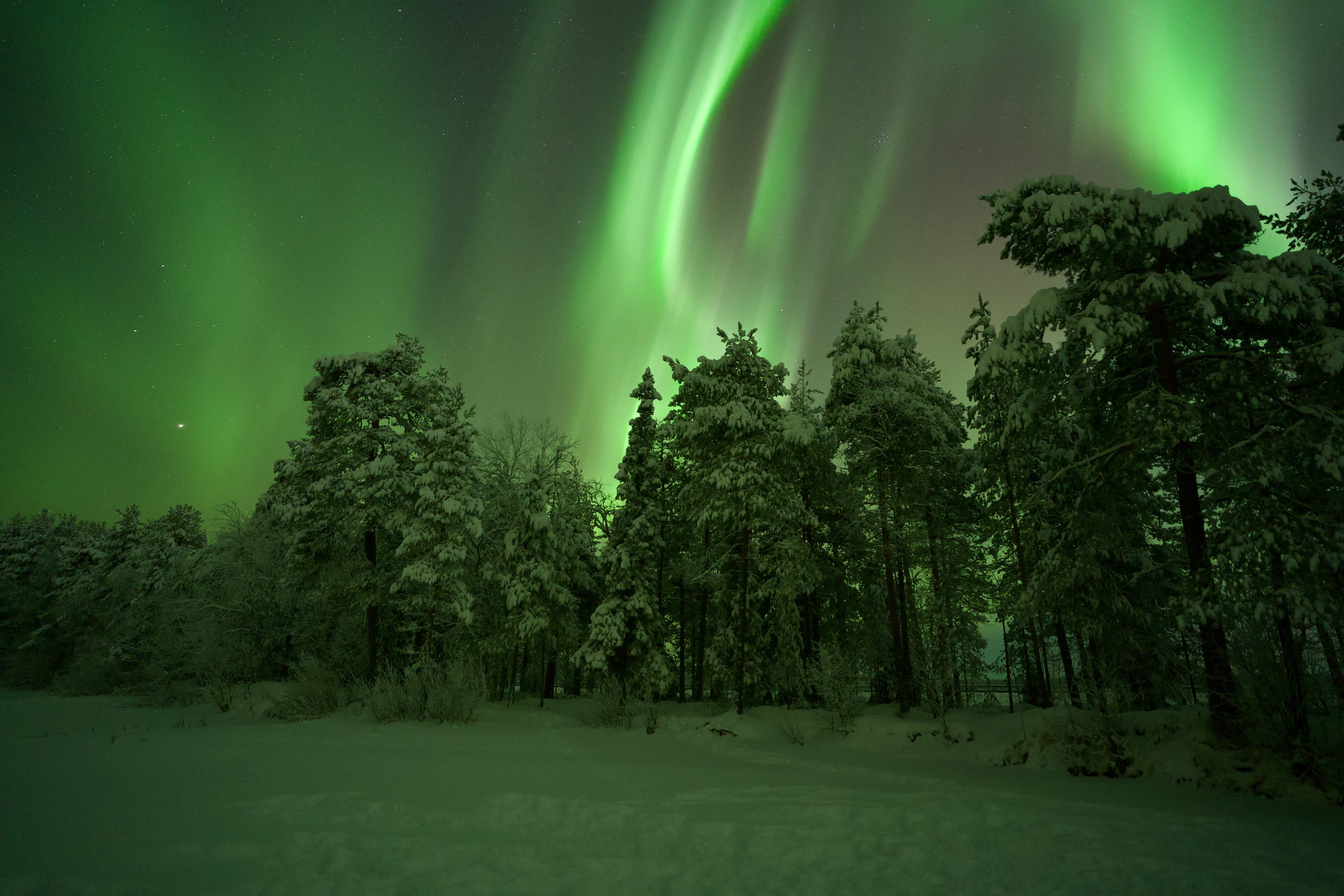 Приватный тур на охоту за северным сиянием с опциями фотографирования