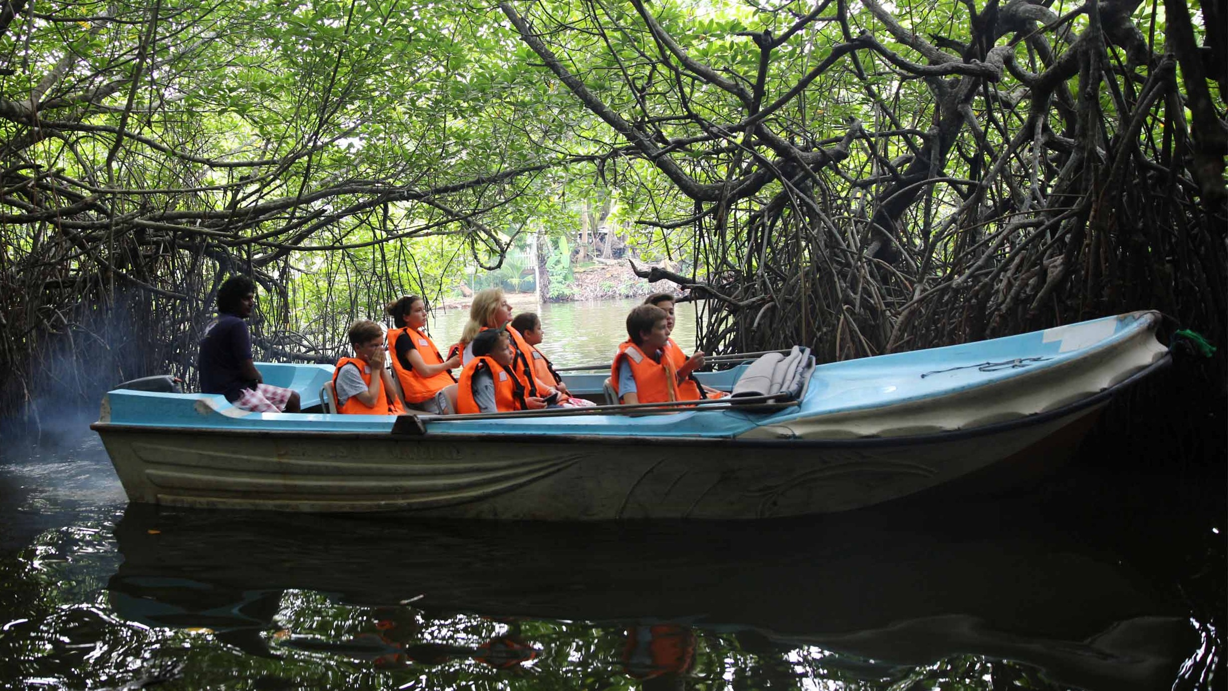 Southern Coast Sri Lanka Day Tour from Colombo or Negombo