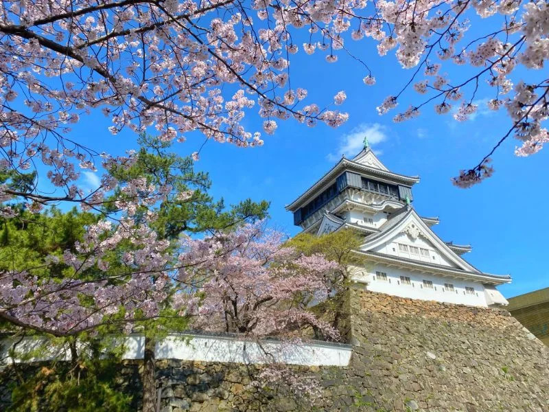 Świetna wartość, wybierz 3, odblokuj Kitakyushu i Shimonoseki