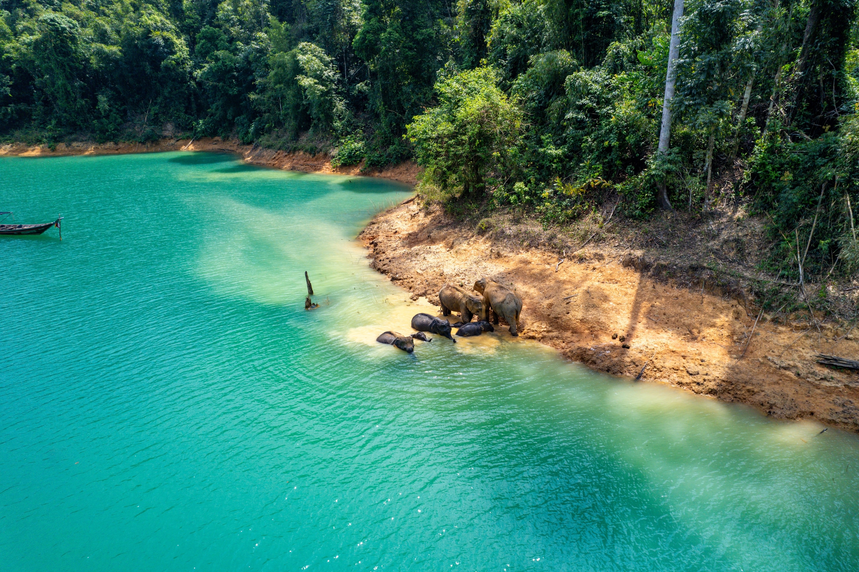 Khao Sok Elephant Sanctuary & Waterfall Bamboo Rafting from Krabi