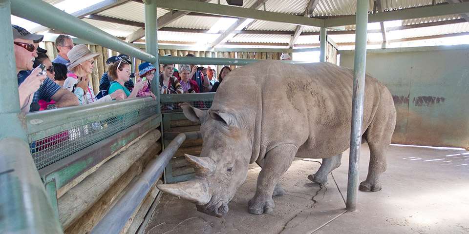 莫納托野生動物園犀牛互動體驗（含門票）