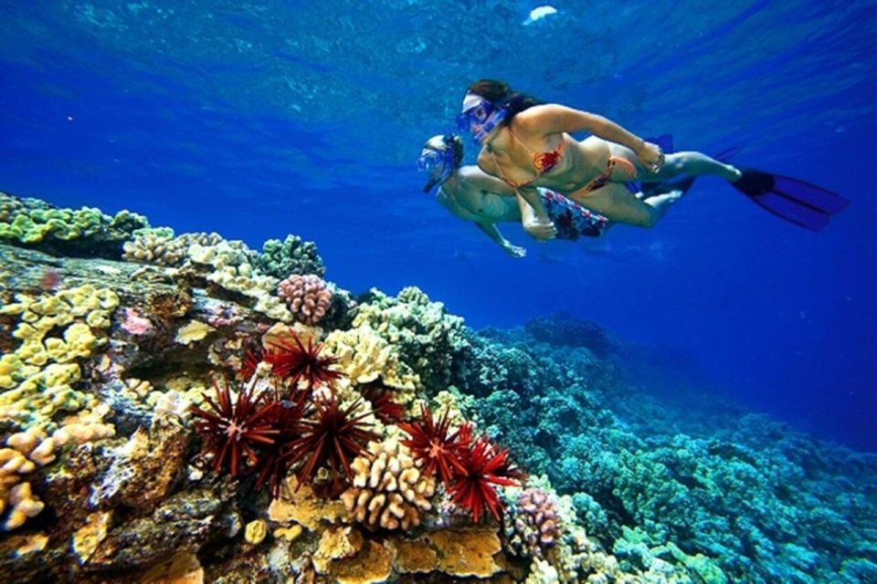 Marsa Alam: Hamata Islands Snorkeling Trip with Lunch