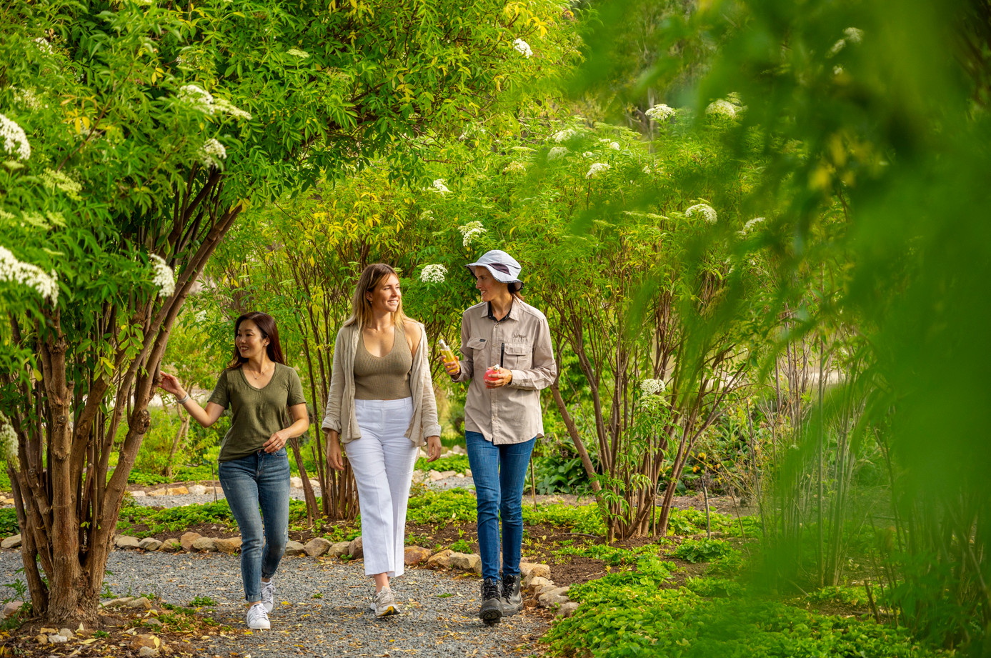 Jurlique Farm Tour at Adelaide Hills