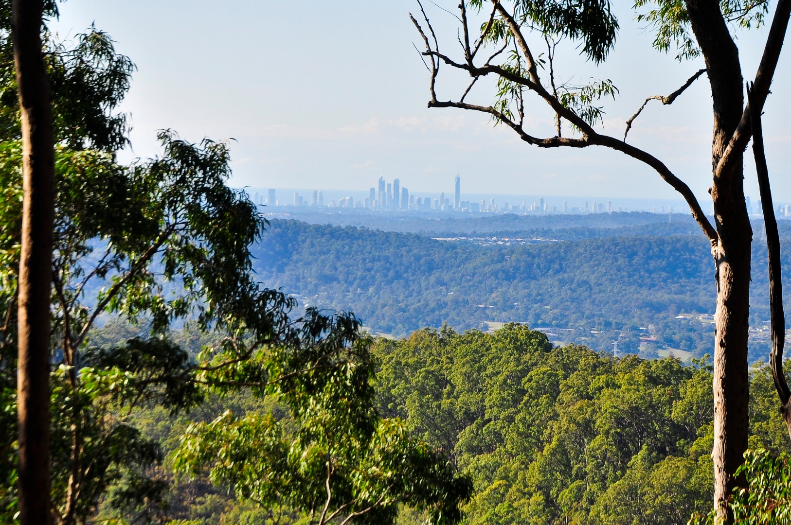 [SALE] Tamborine Mountain Tour from Gold Coast Ticket KD