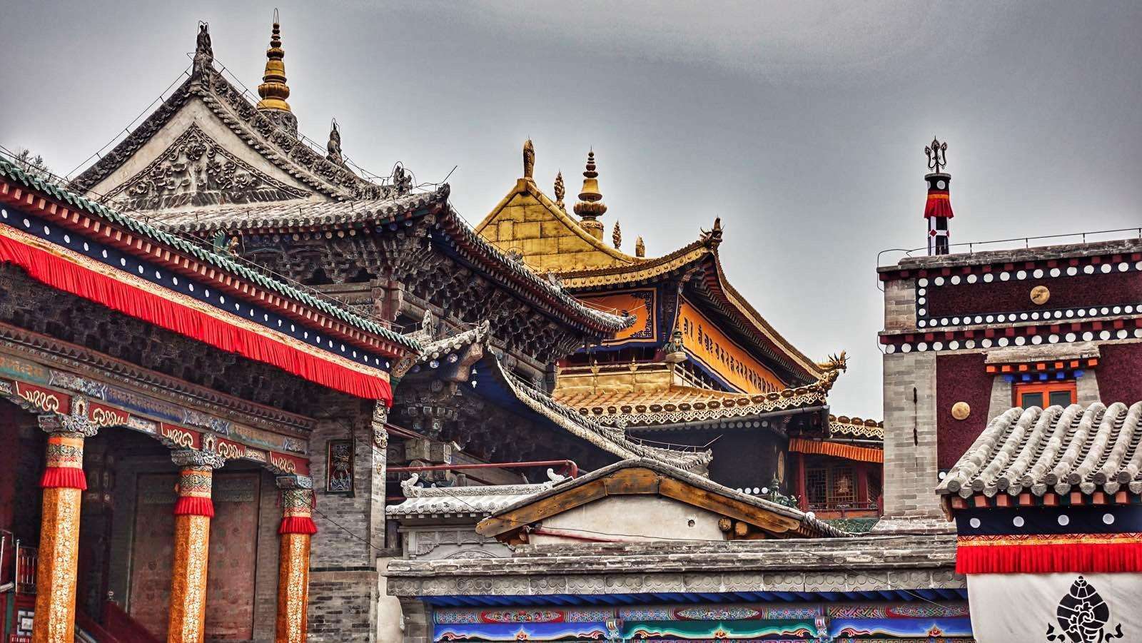 抵達塔爾寺，專業導遊將全程陪同，為您開啟一場深度文化之旅。導遊對塔爾寺的瞭解猶如對自己的掌心般熟悉，每一個細節、每一段歷史都能信手拈來。在導遊的引領下，您將參觀大金瓦殿，那宏偉的建築和珍貴的大銀塔讓人不禁感嘆宗教的神聖。而塔爾寺的藝術三絕 —— 酥油花、壁畫和堆繡，更是令人稱奇。導遊會詳細講解它們的製作工藝和背後蘊含的佛教故事，讓您彷彿穿越時空，走進了一個充滿信仰與藝術的世界，深刻領略這座古寺的獨特魅力和深厚底蘊。