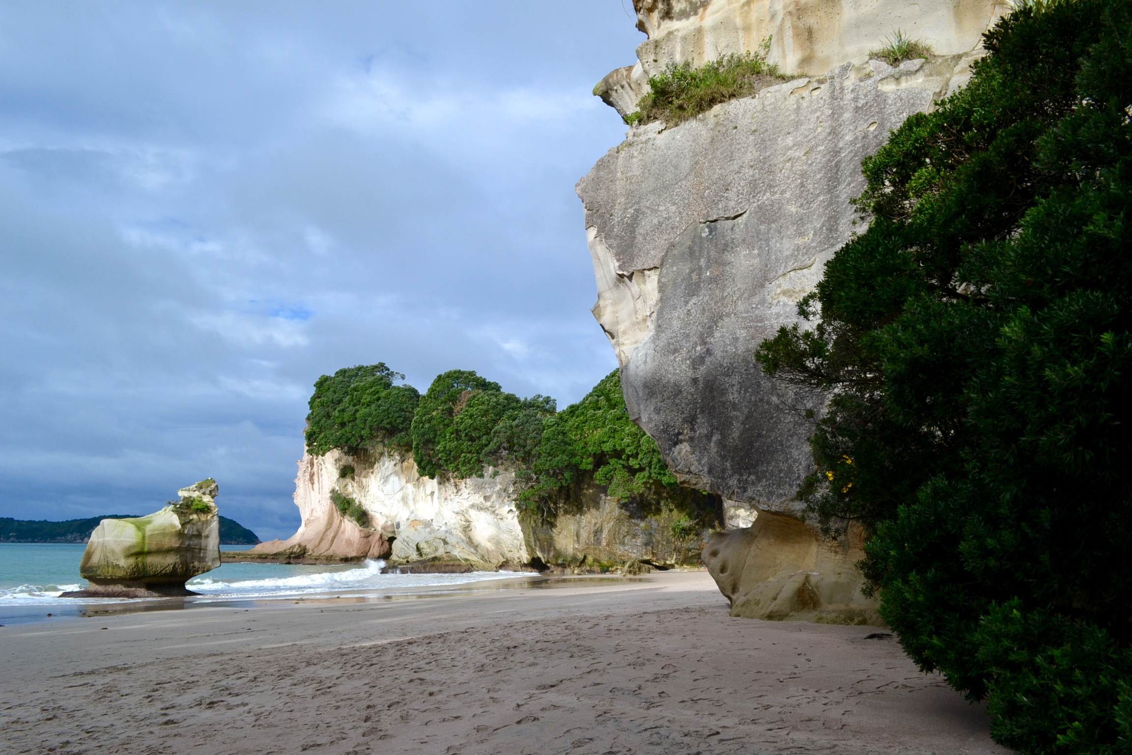 Summer Coromandel Day Tour From Auckland