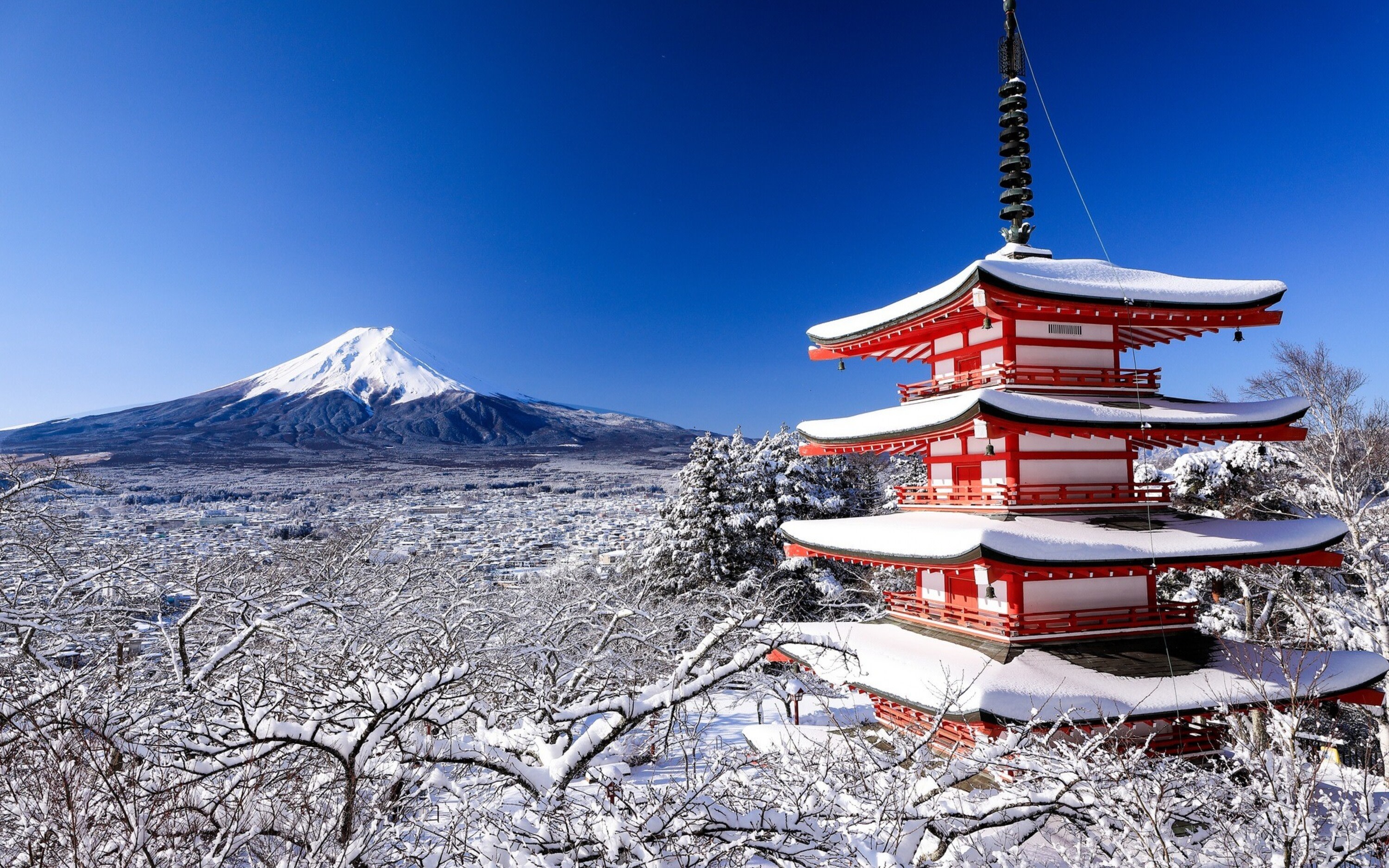 Mt. Fuji 5th Station, Lake Kawaguchi, & Hikawa Street Private Tour